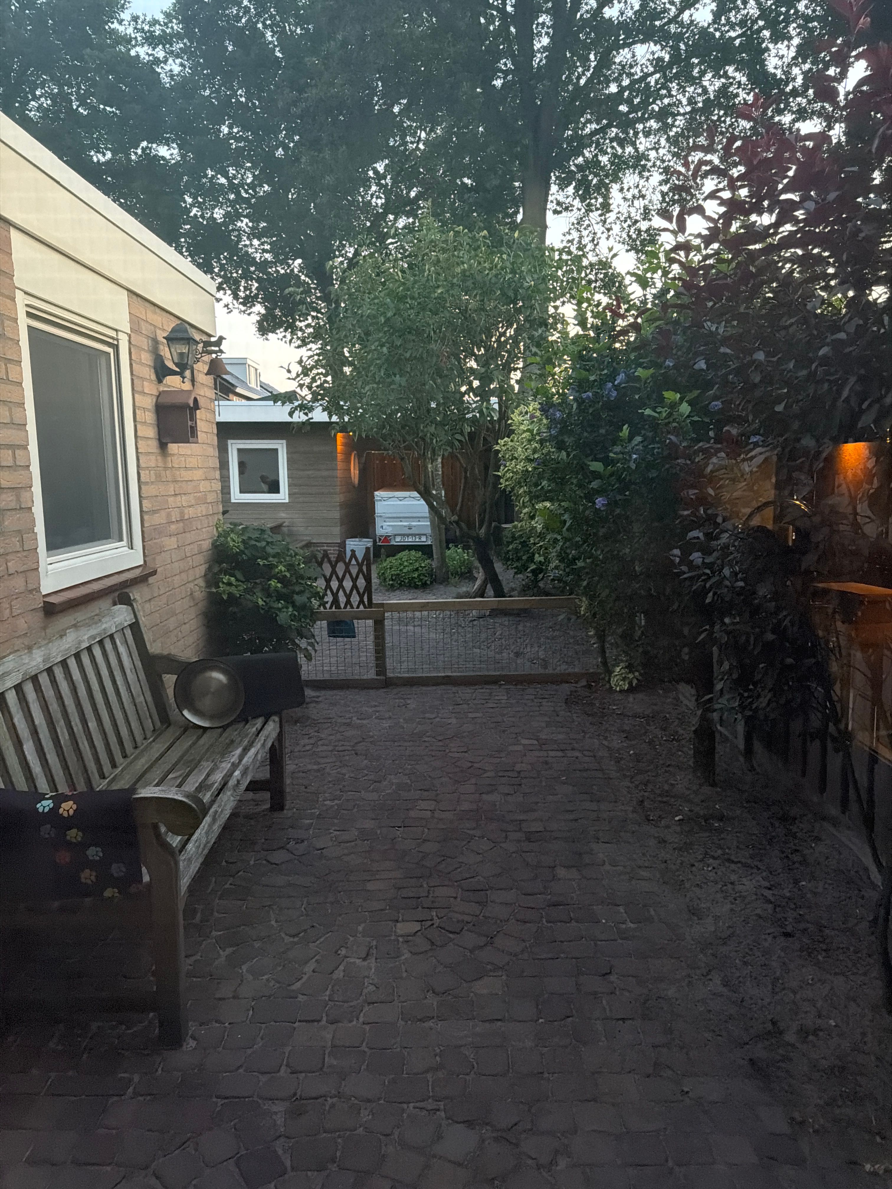 image-21