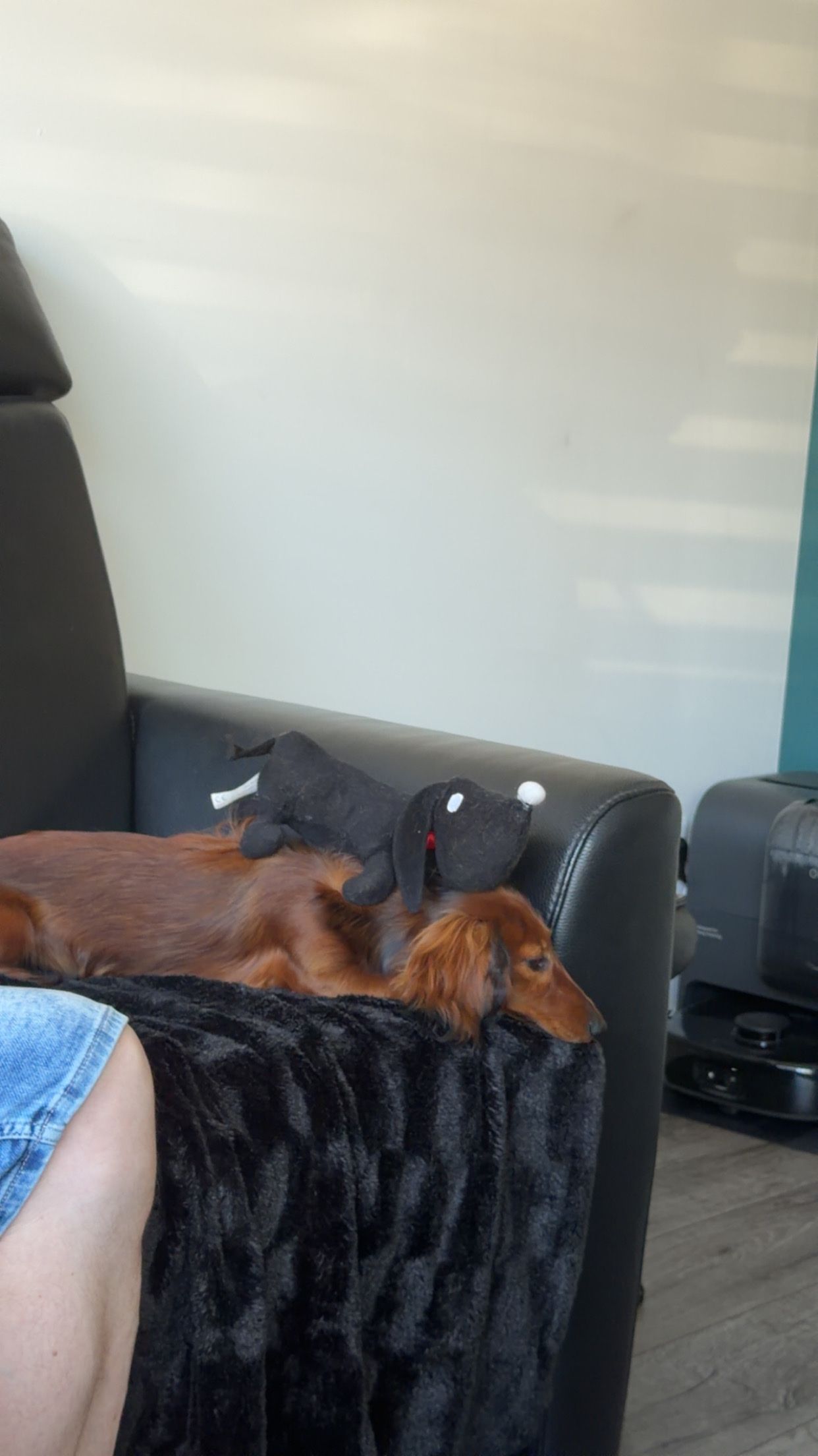 image-10