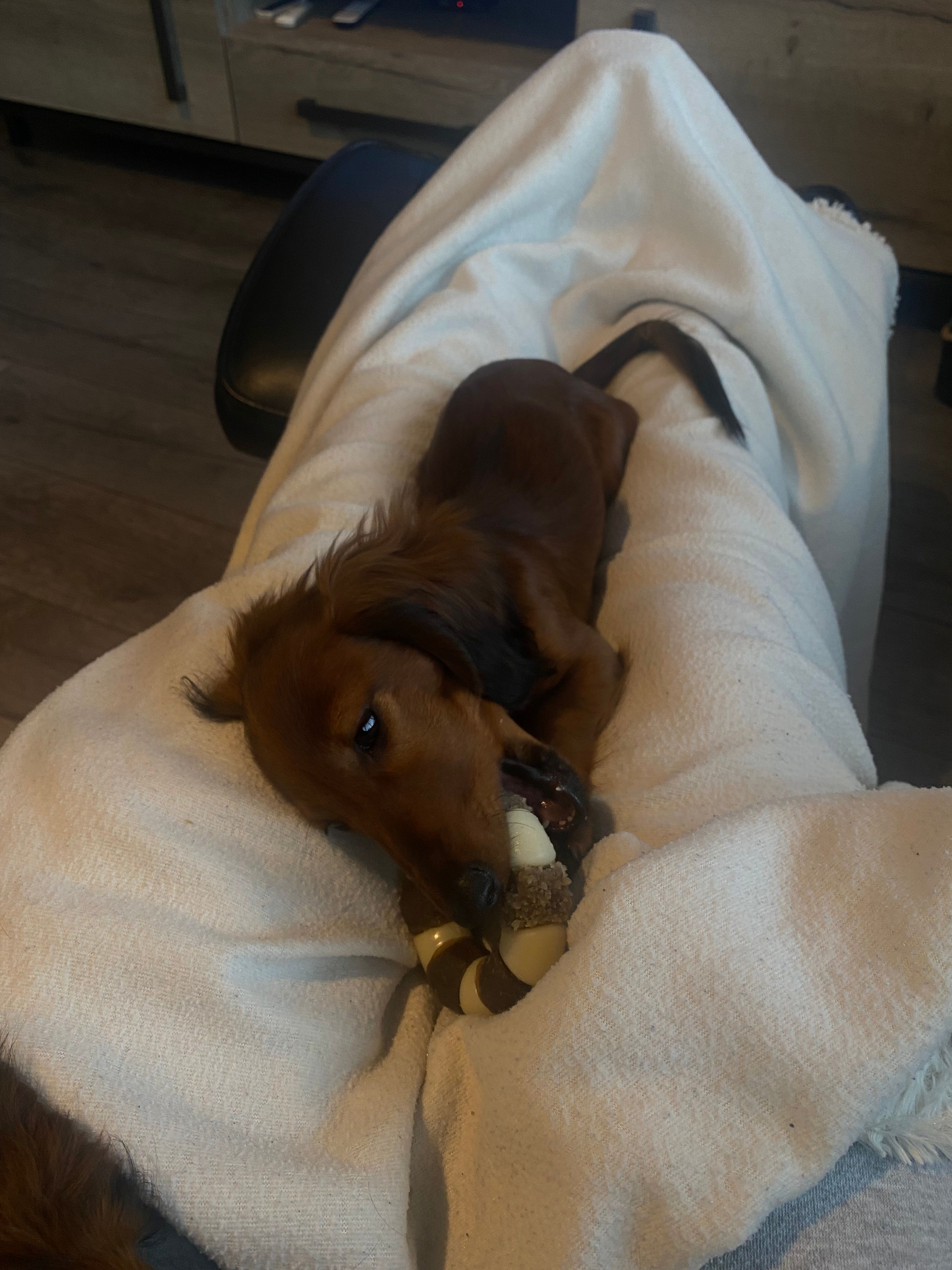 image-8