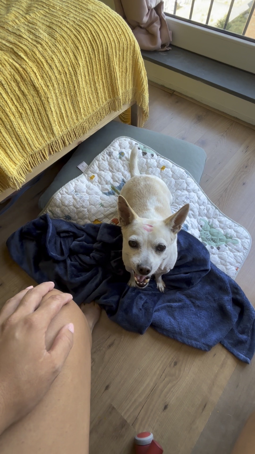 image-16