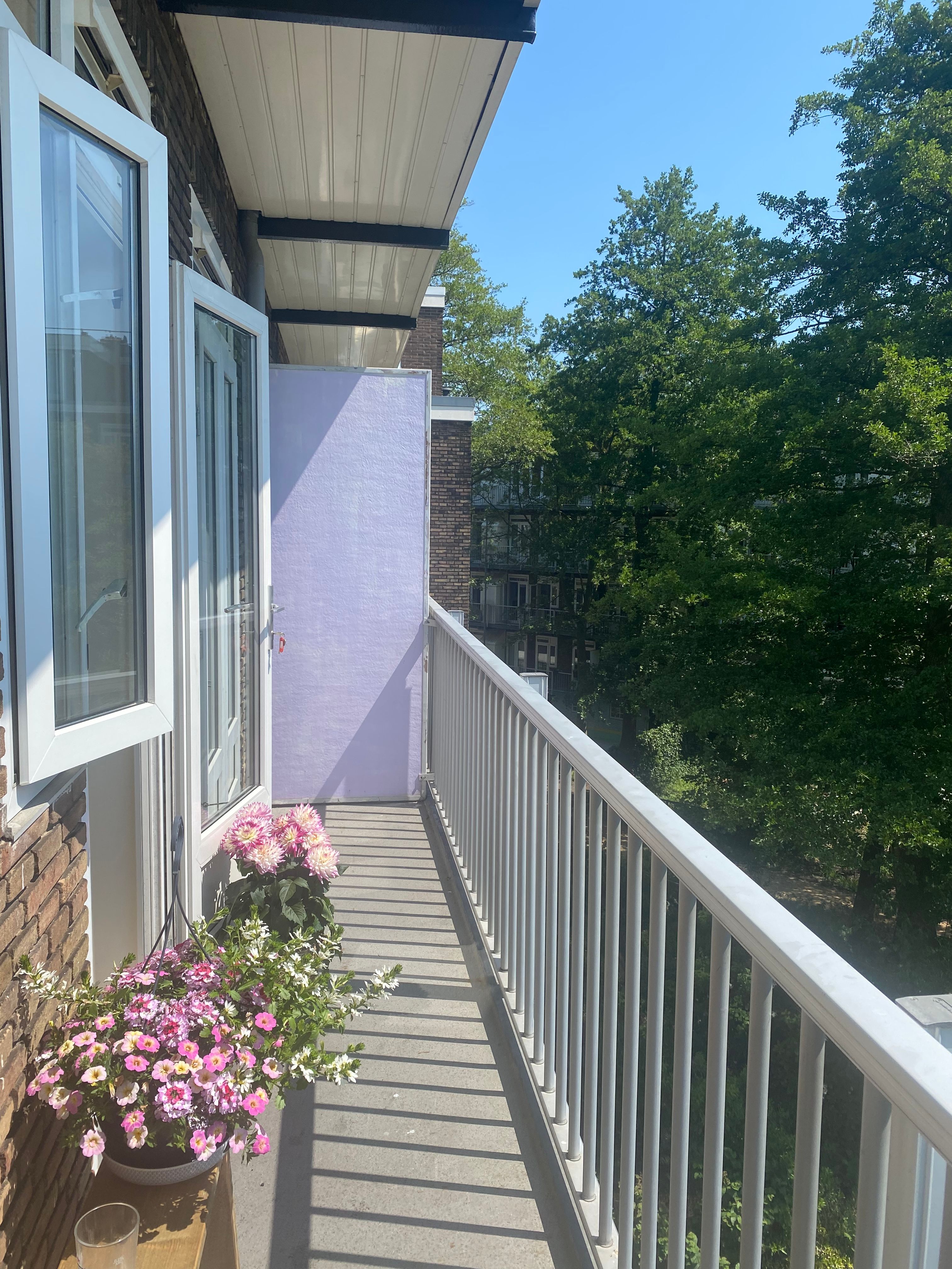 image-20