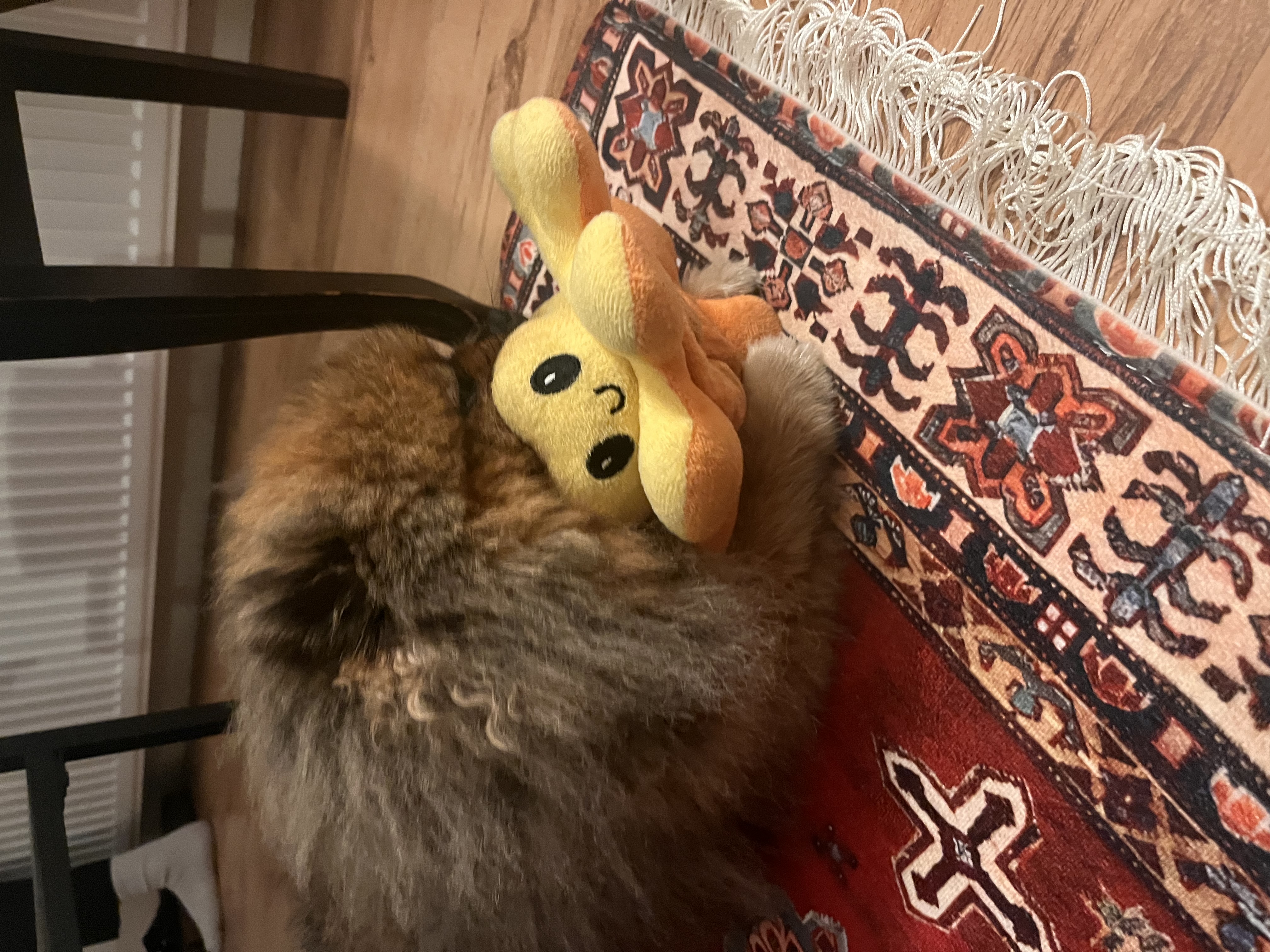 image-14