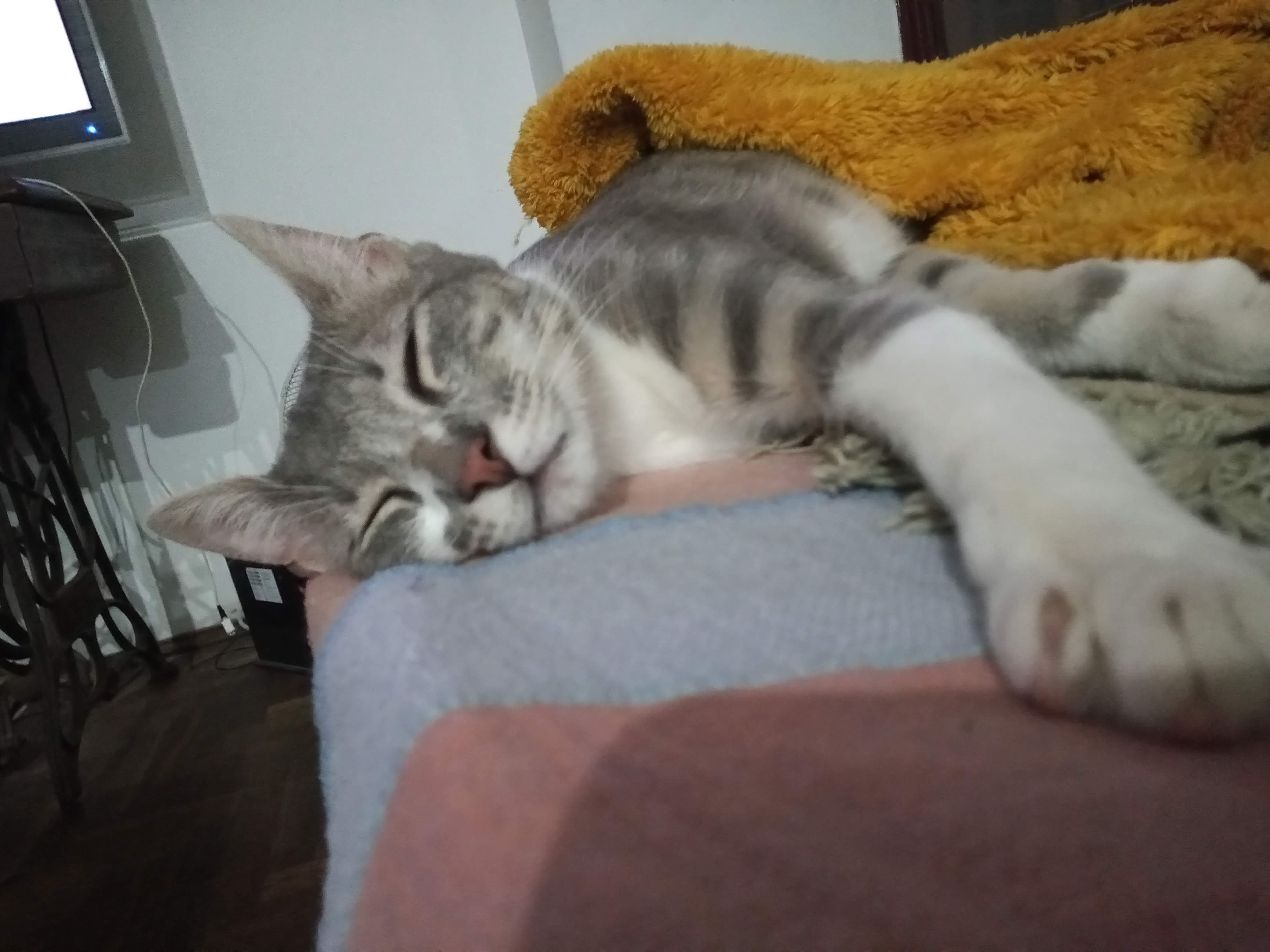 image-11