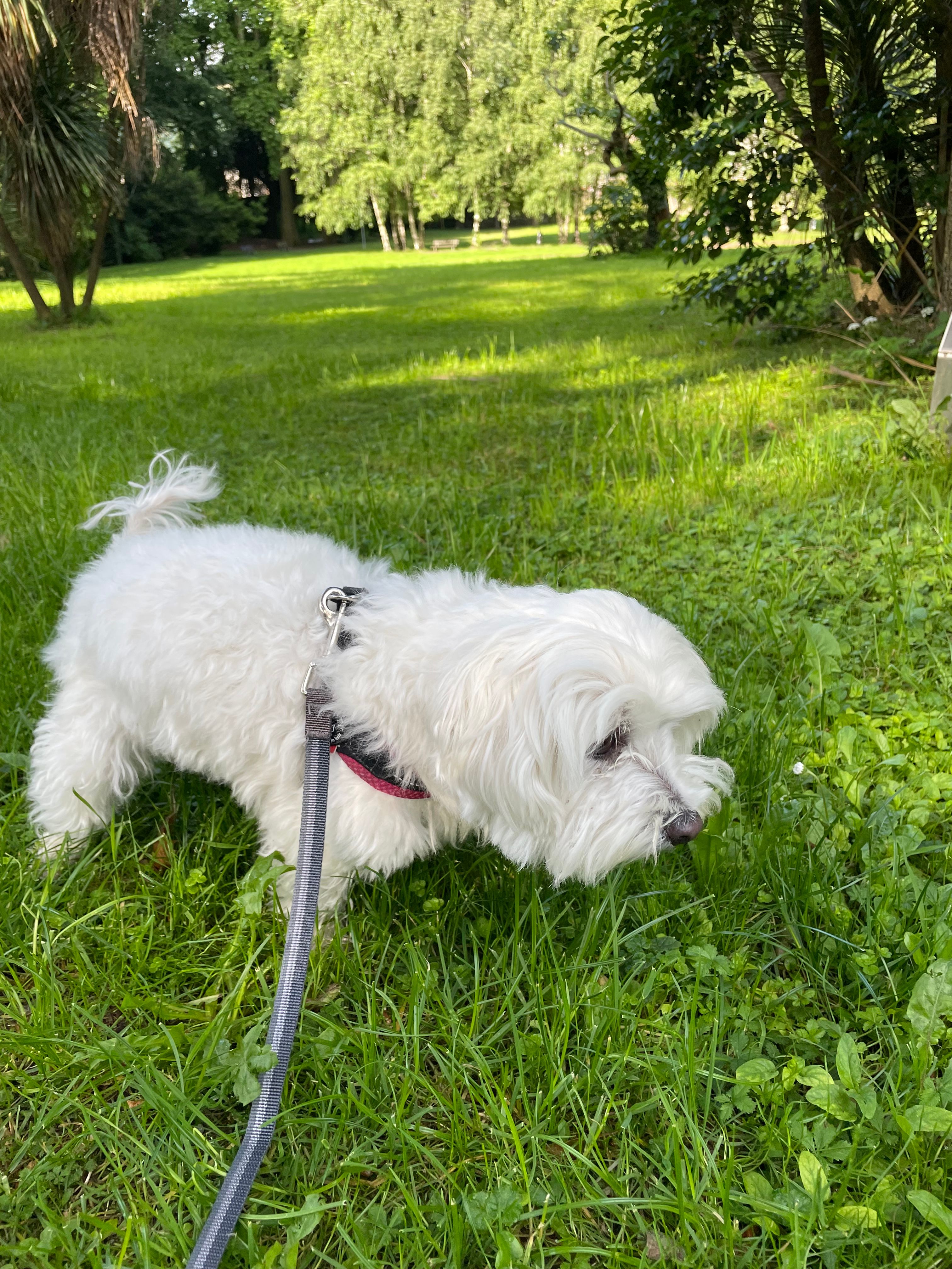 image-16