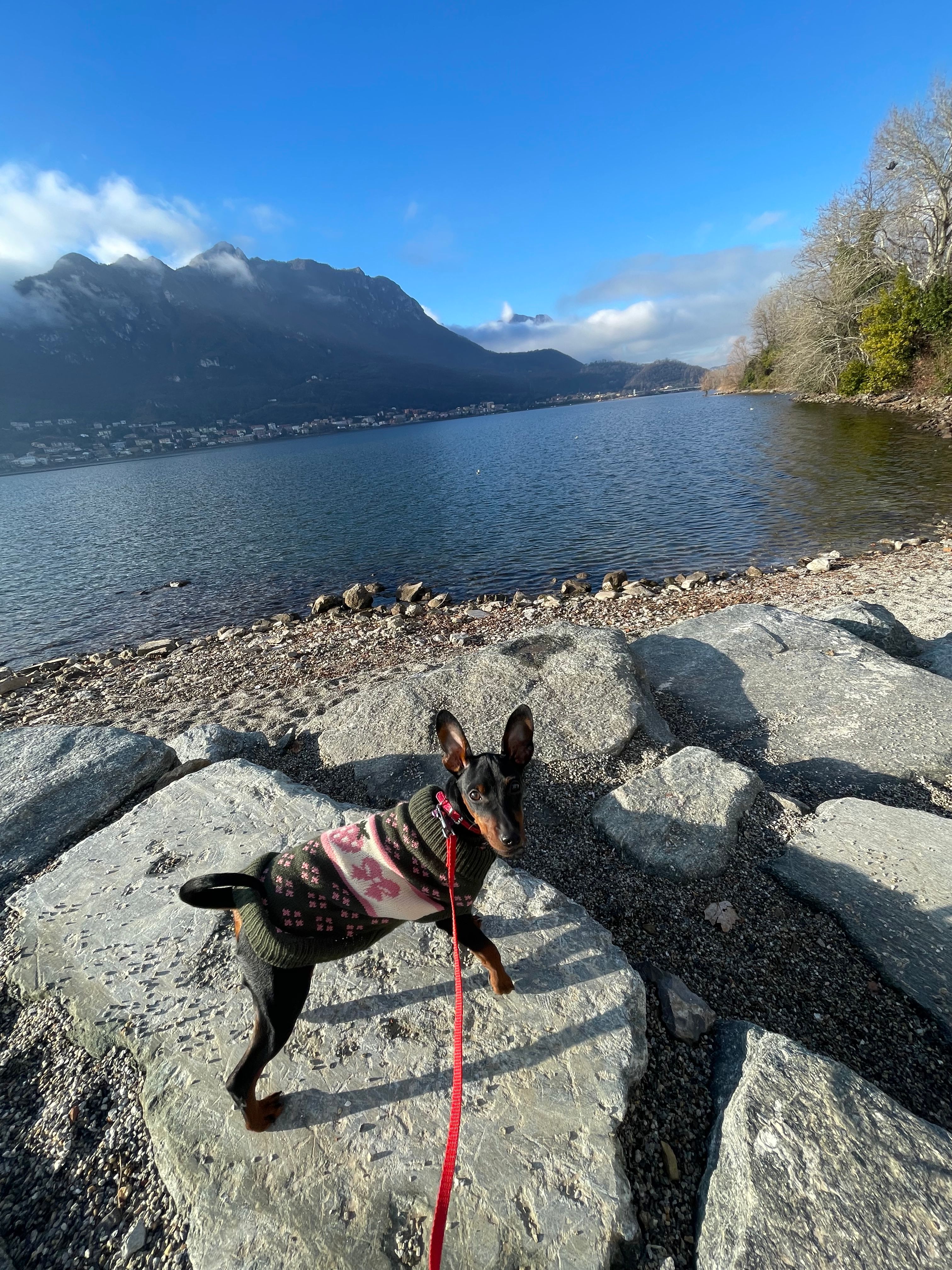 image-8