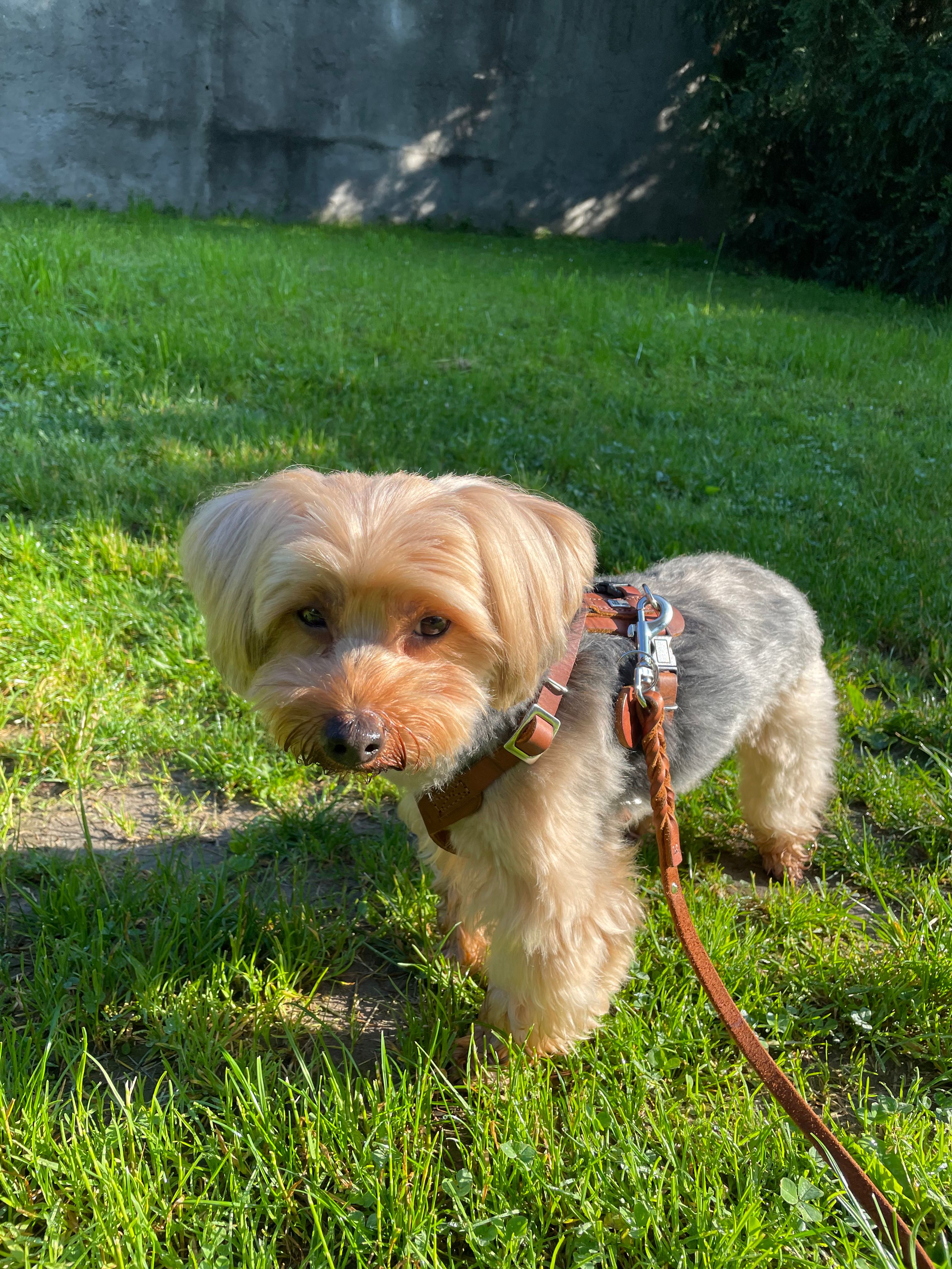image-6
