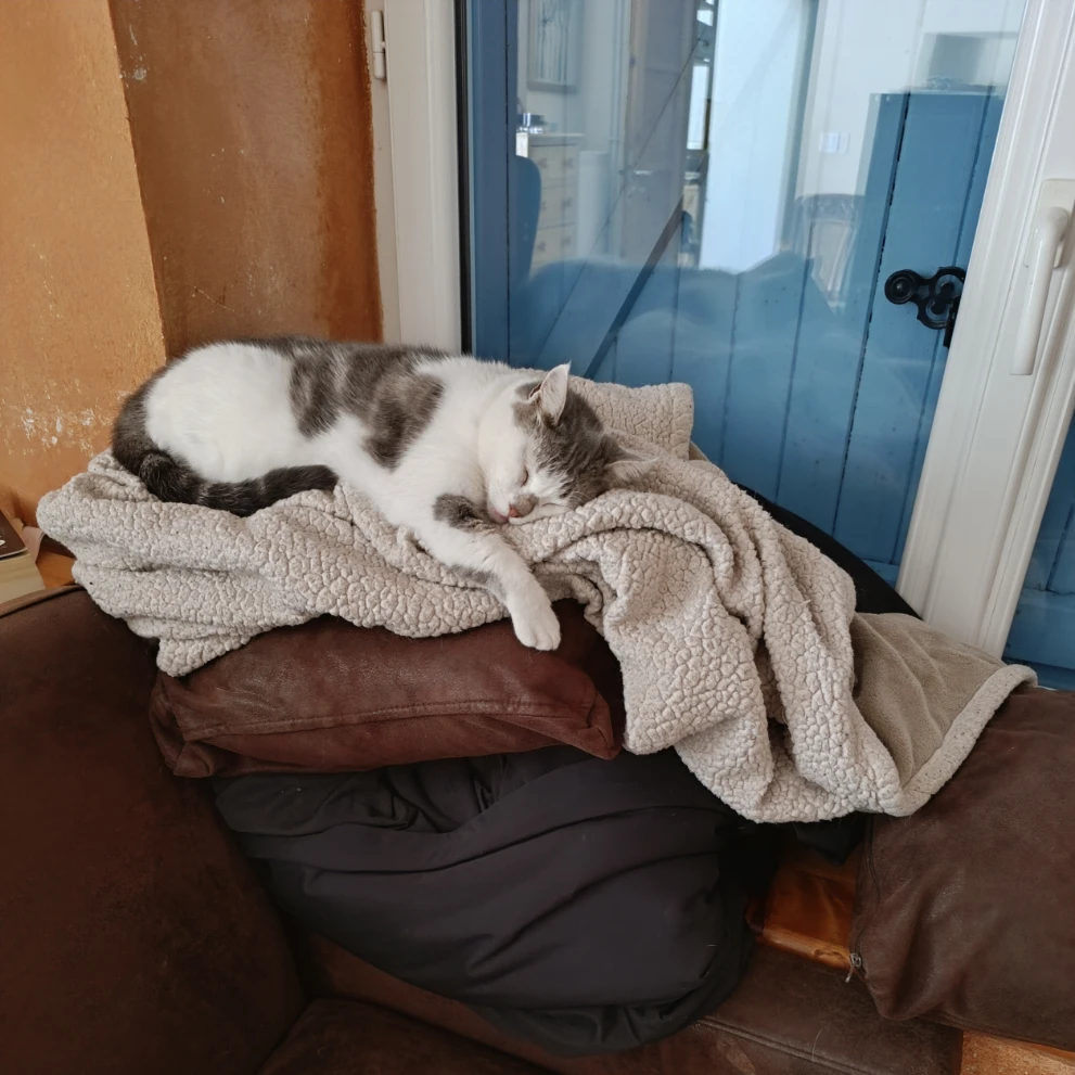 Flèche