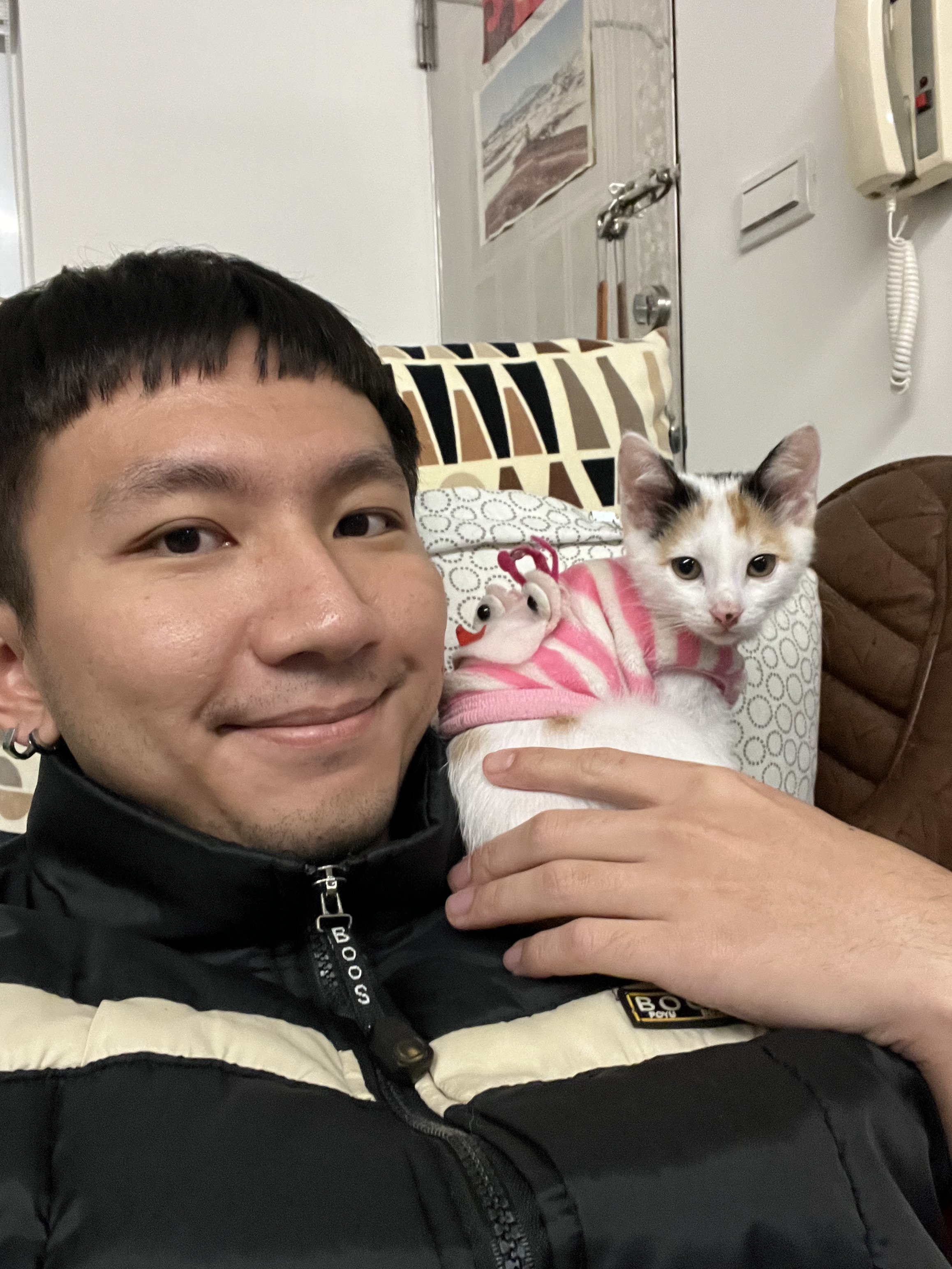 image-7