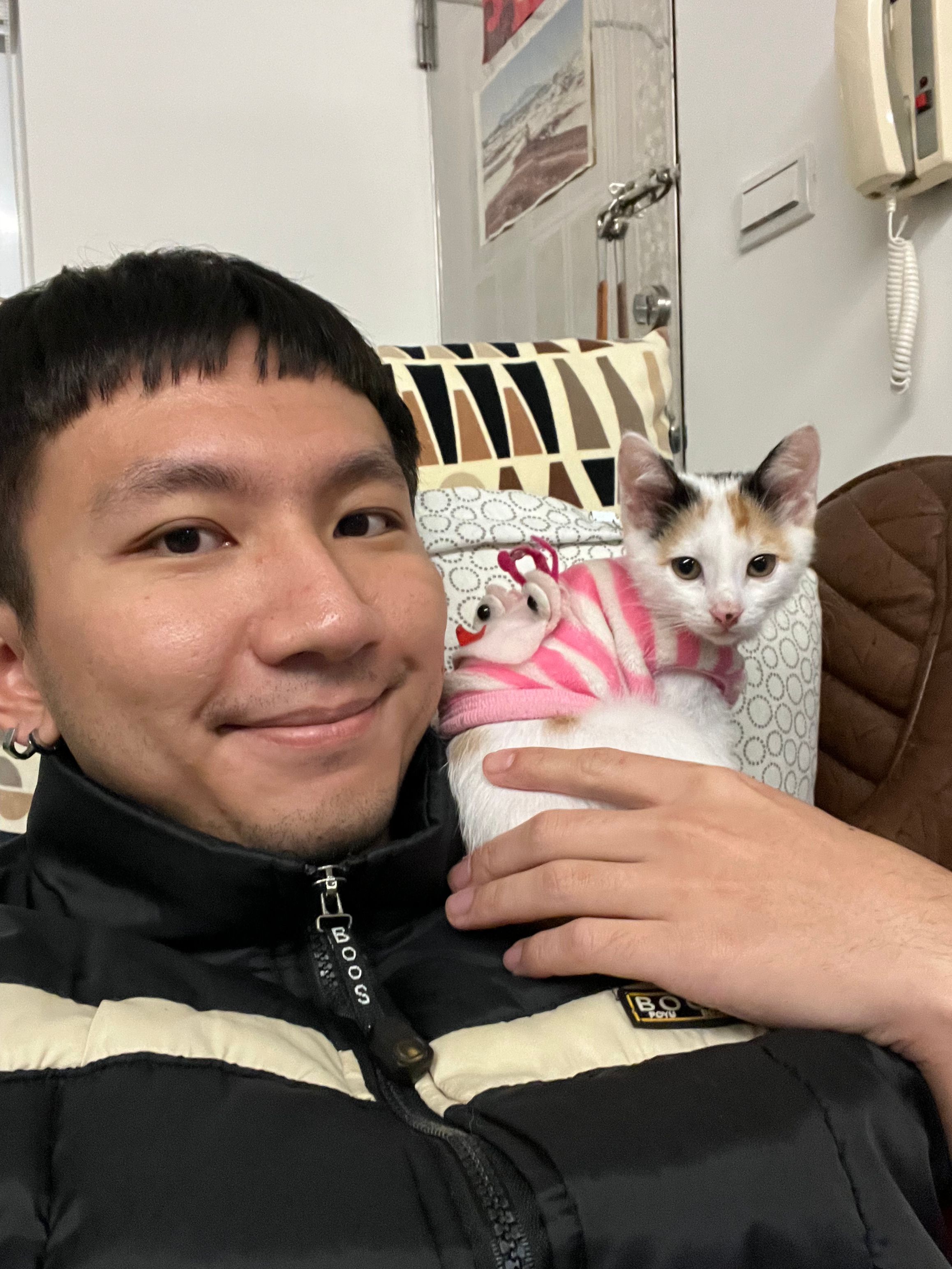 image-7
