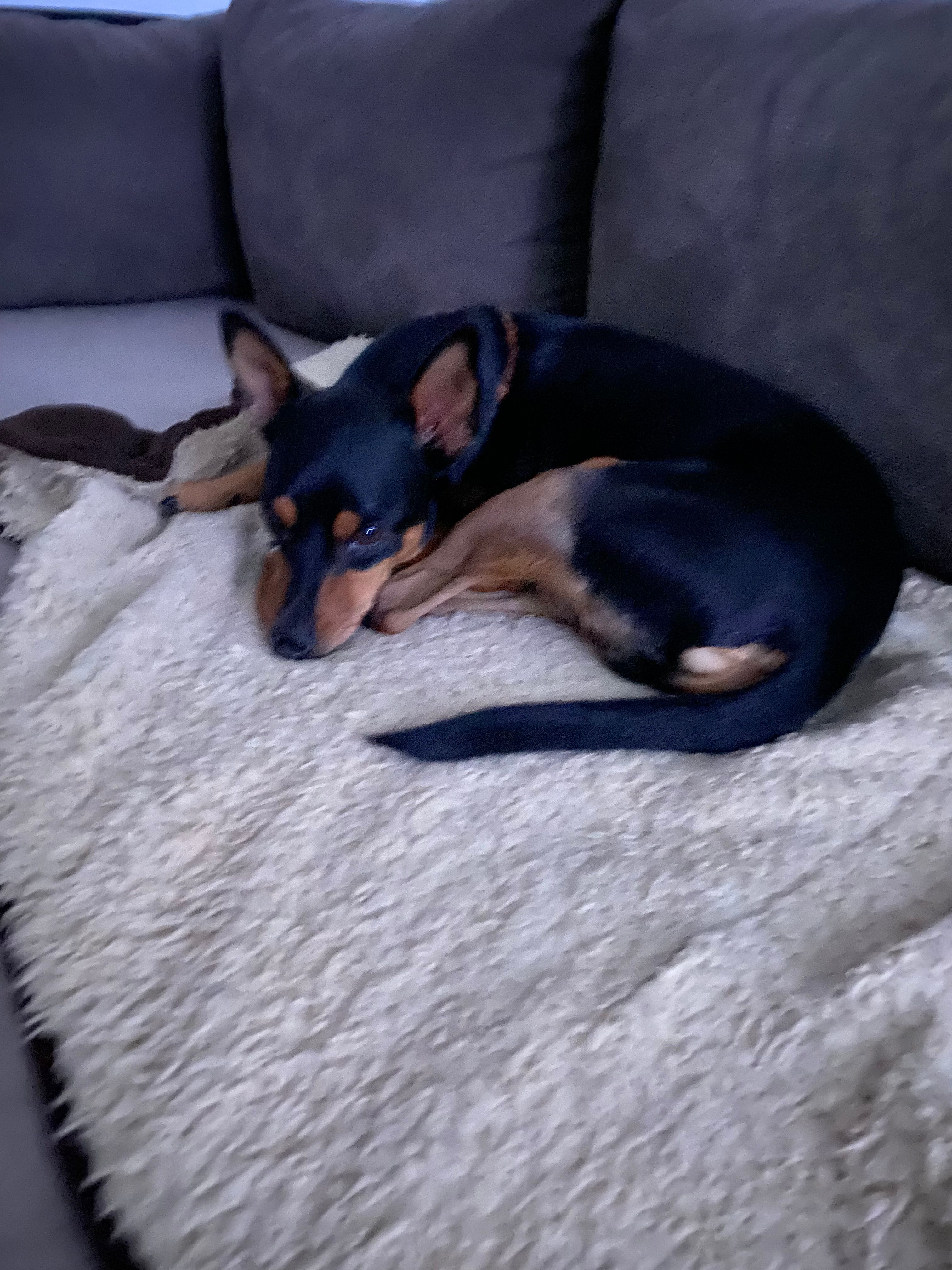 image-12