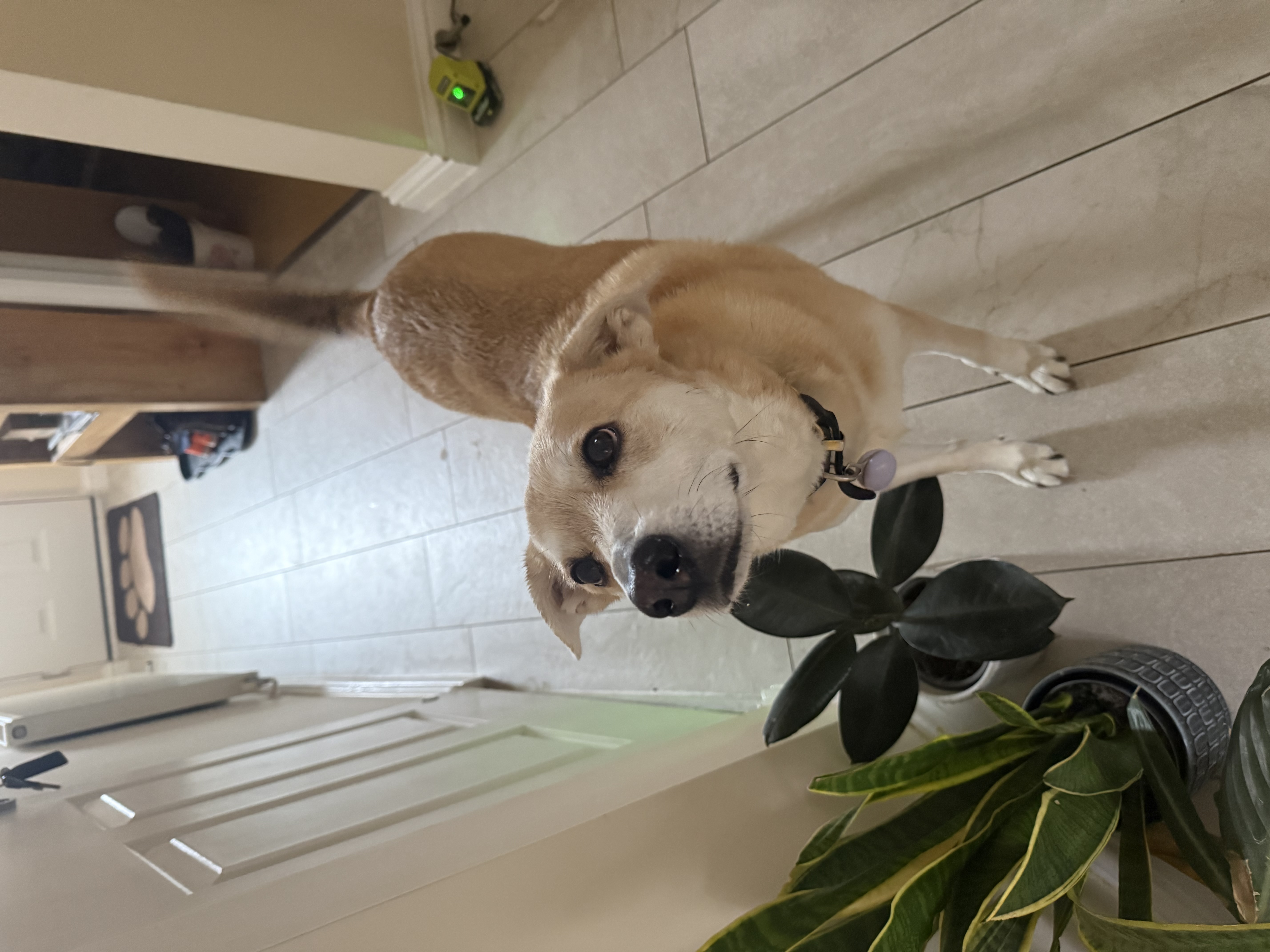 image-17