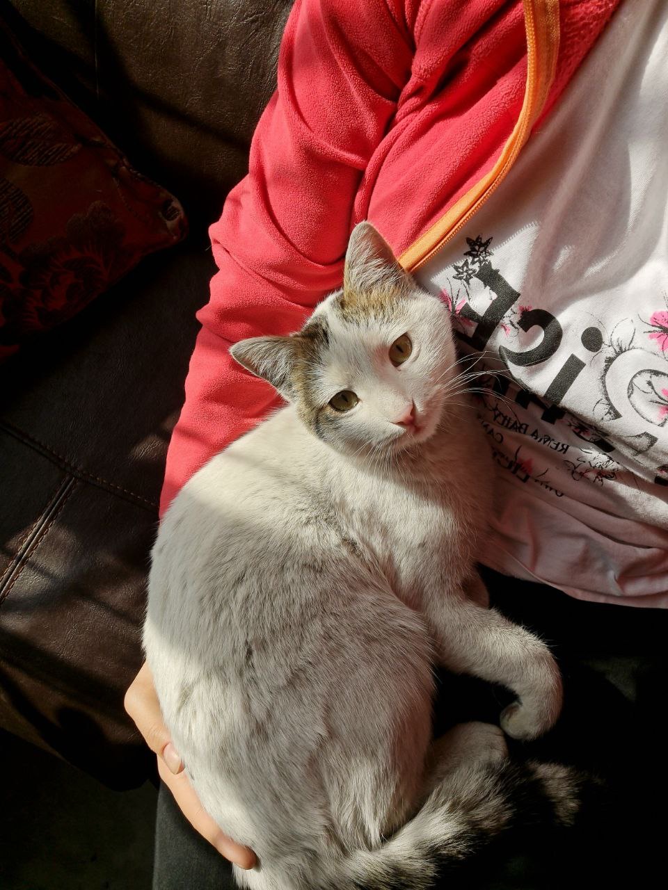 image-8