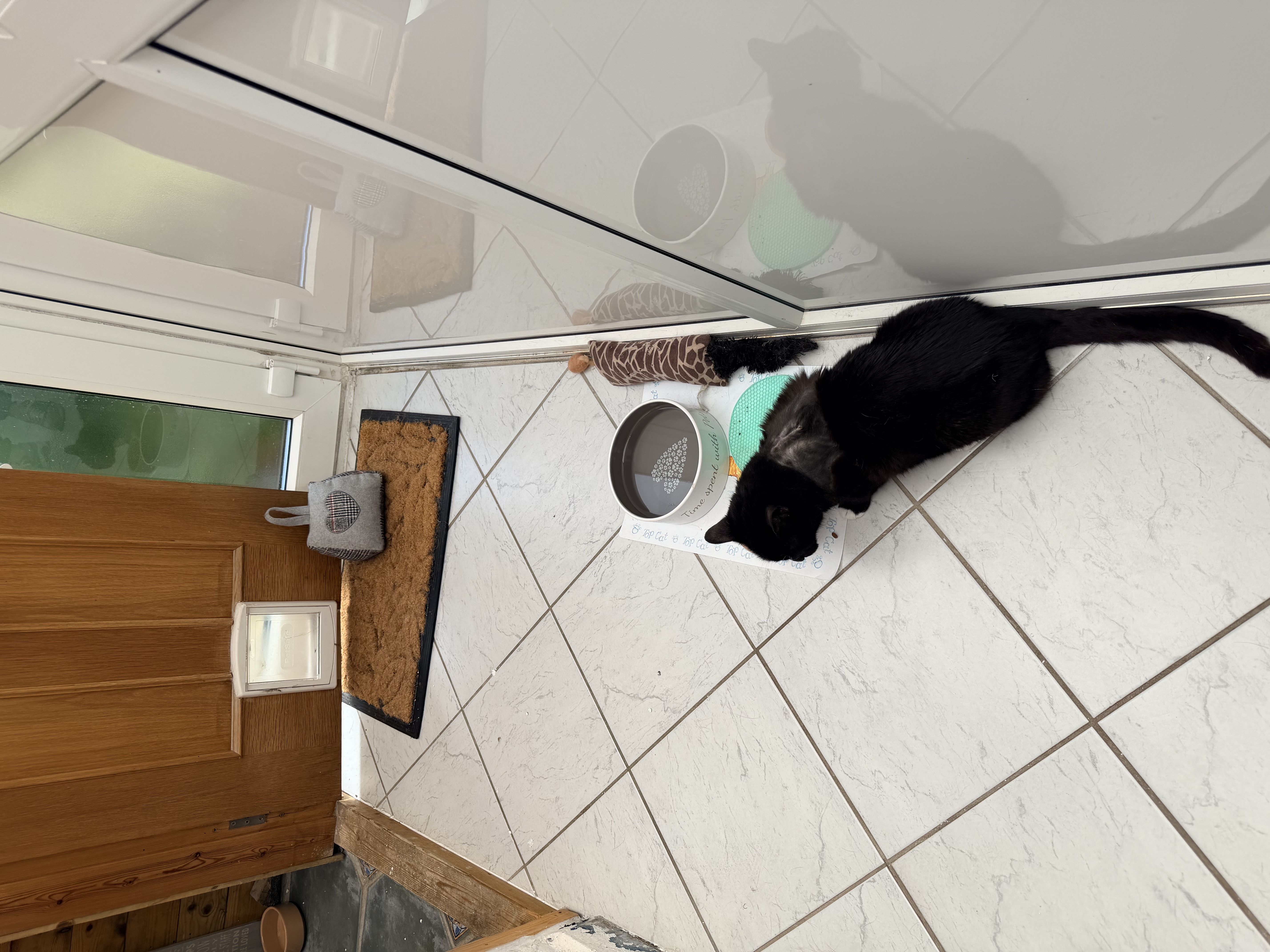 image-11