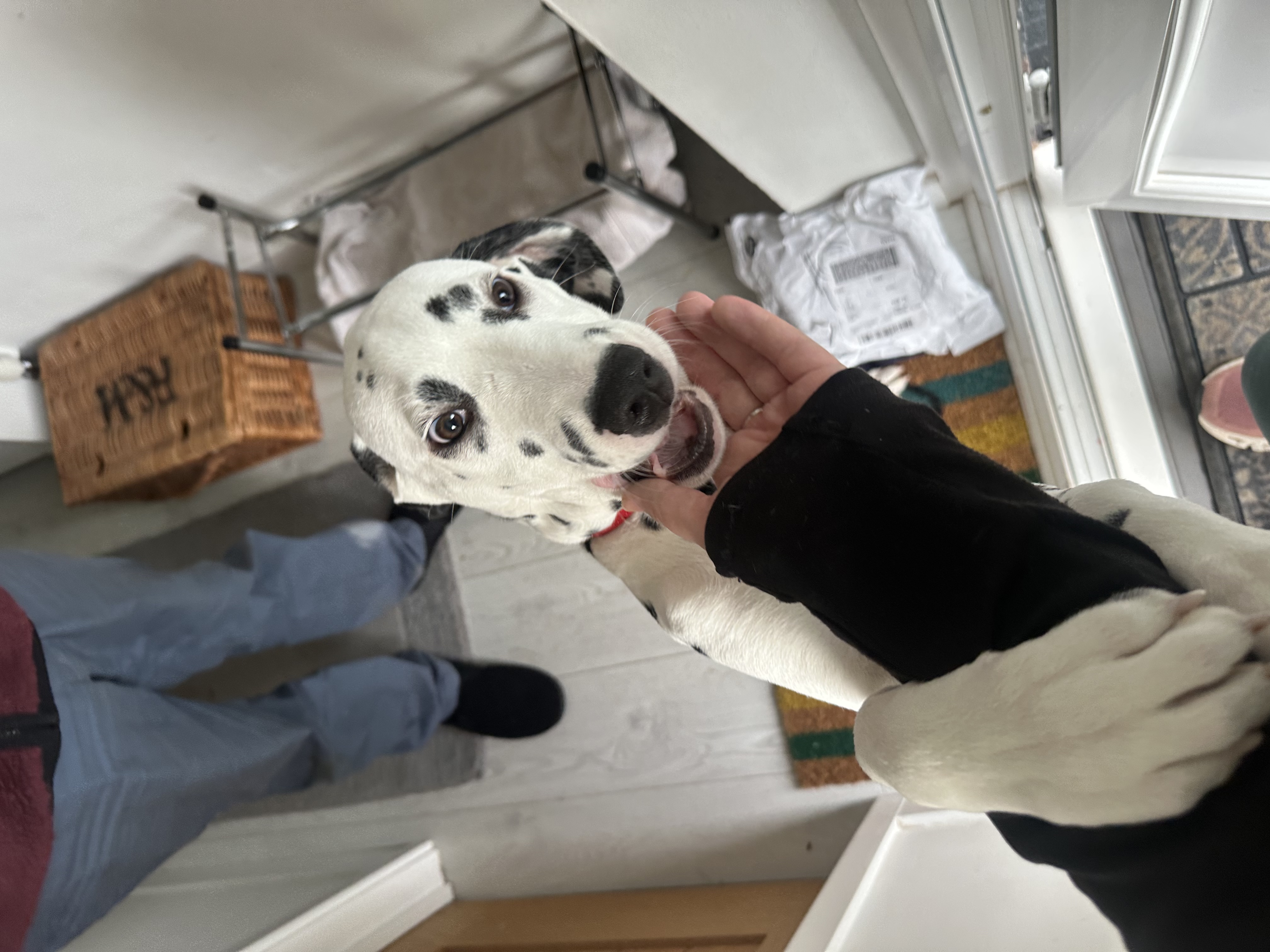 image-4