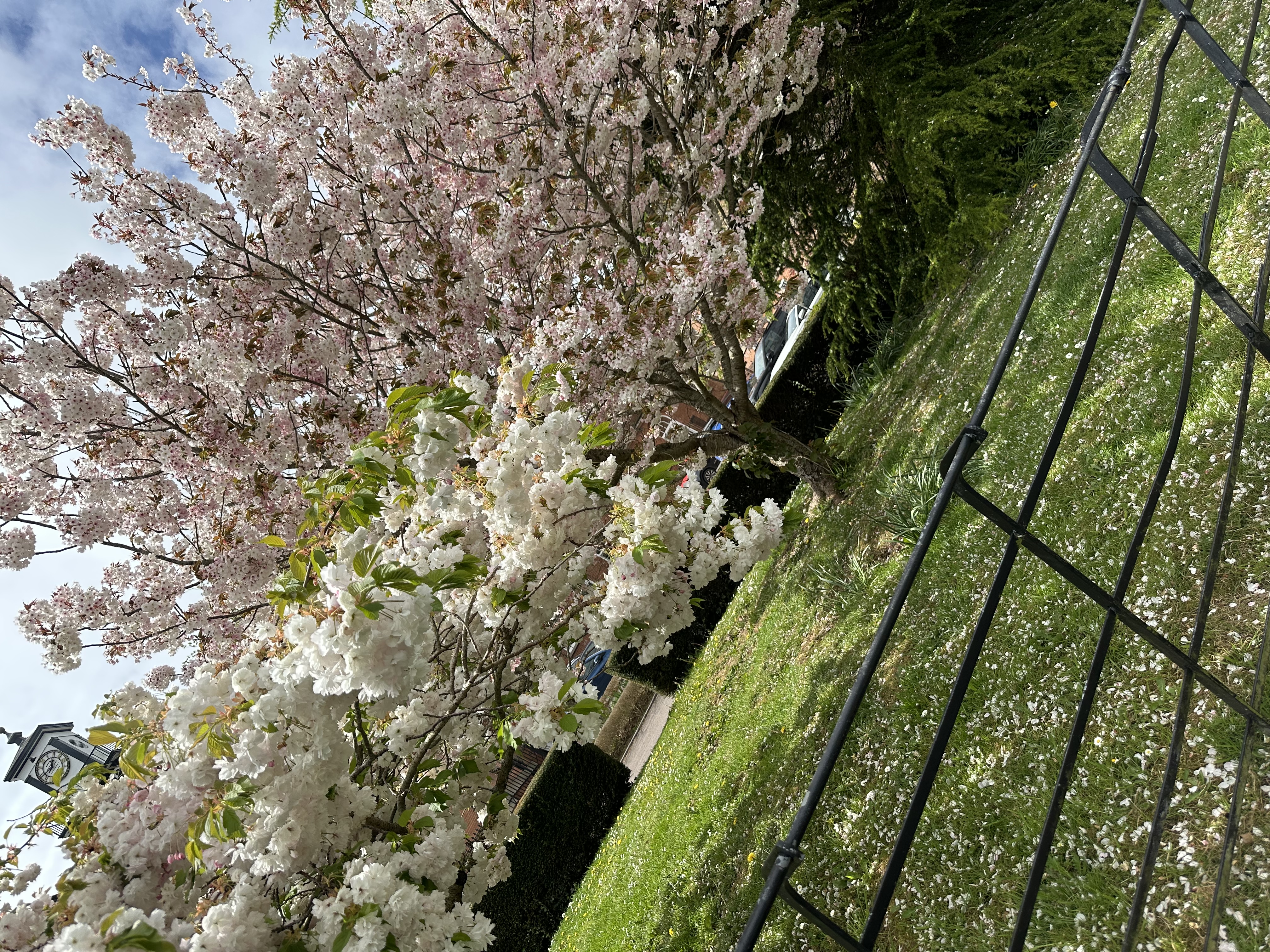 image-15