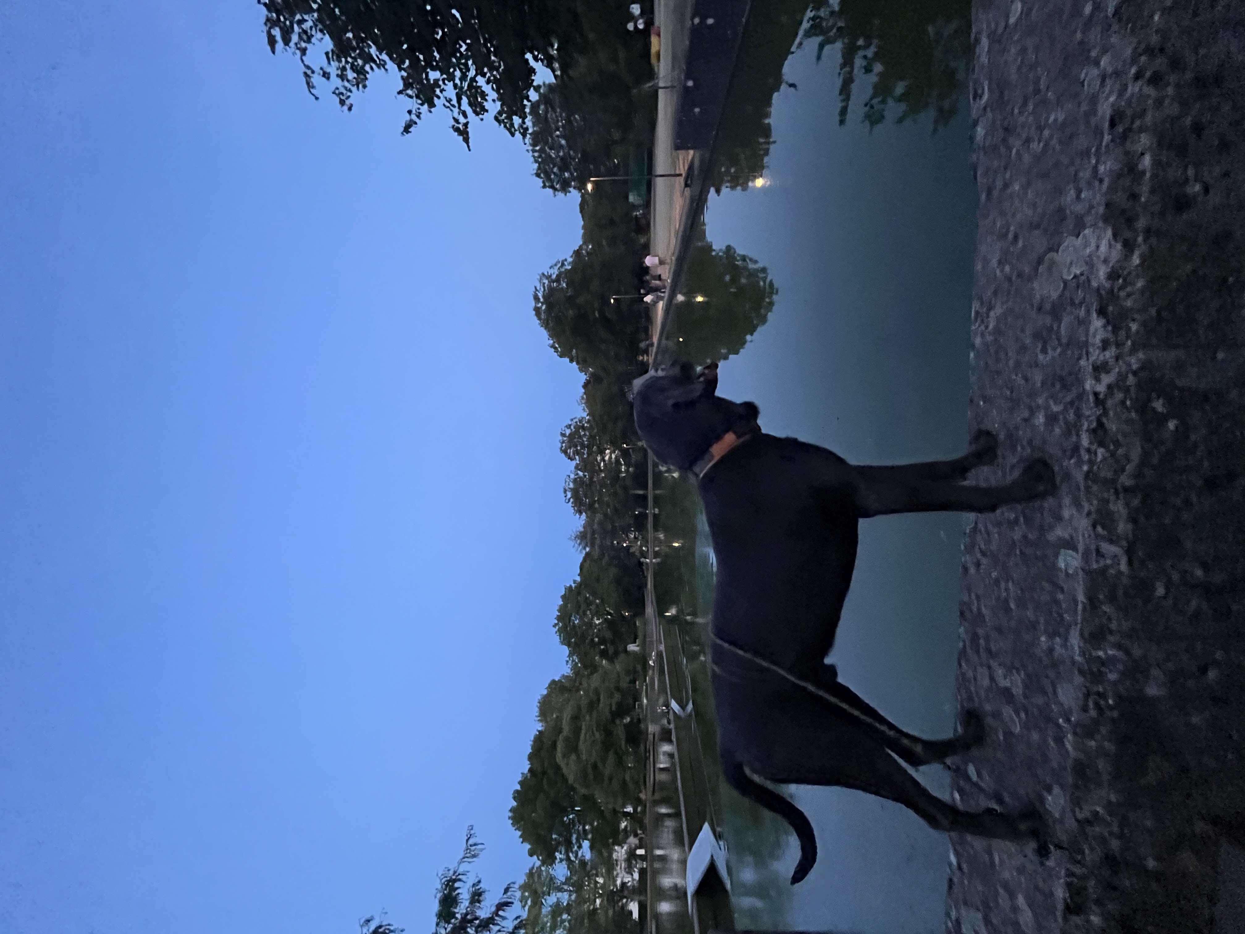 image-10