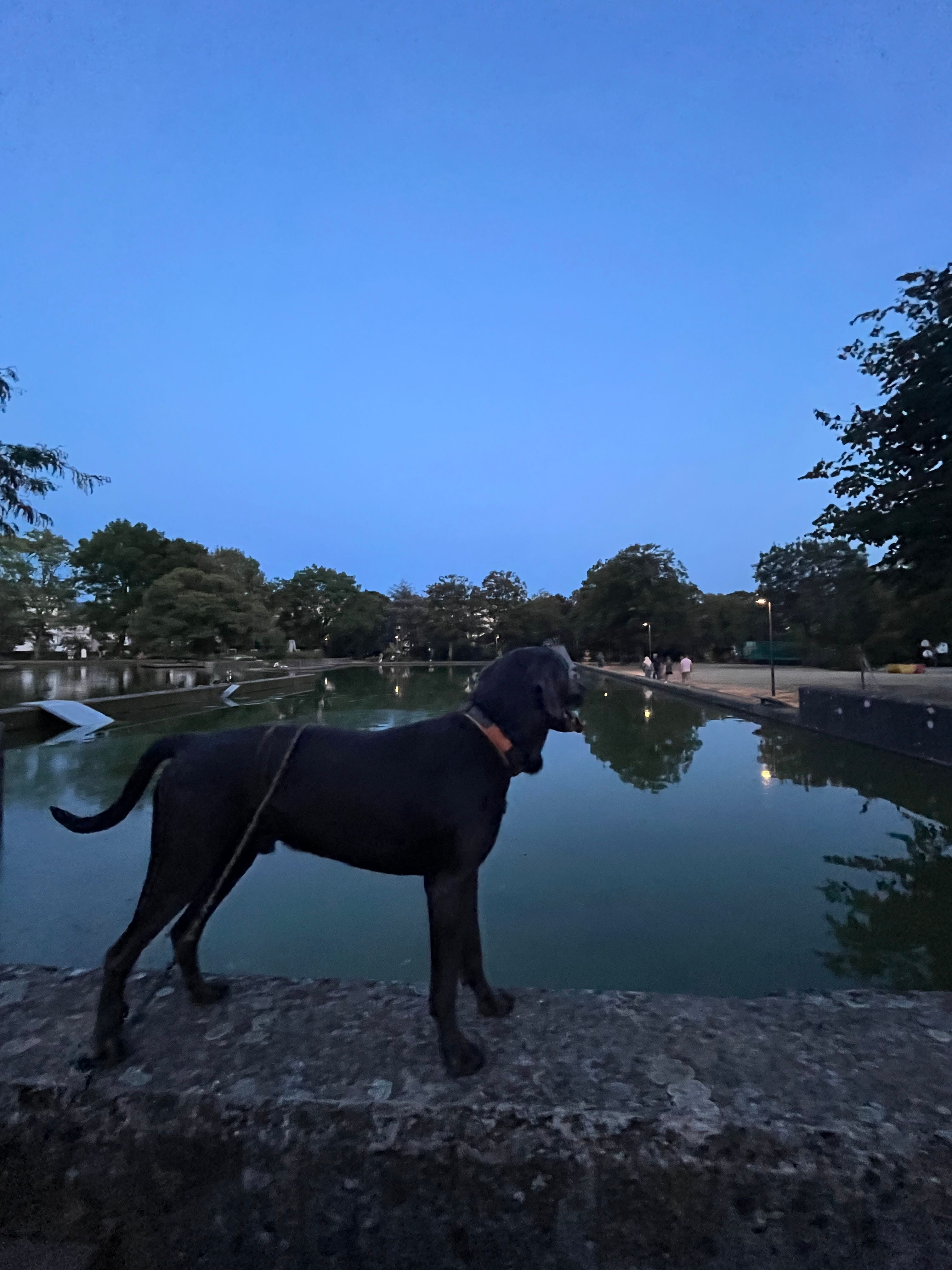 image-10