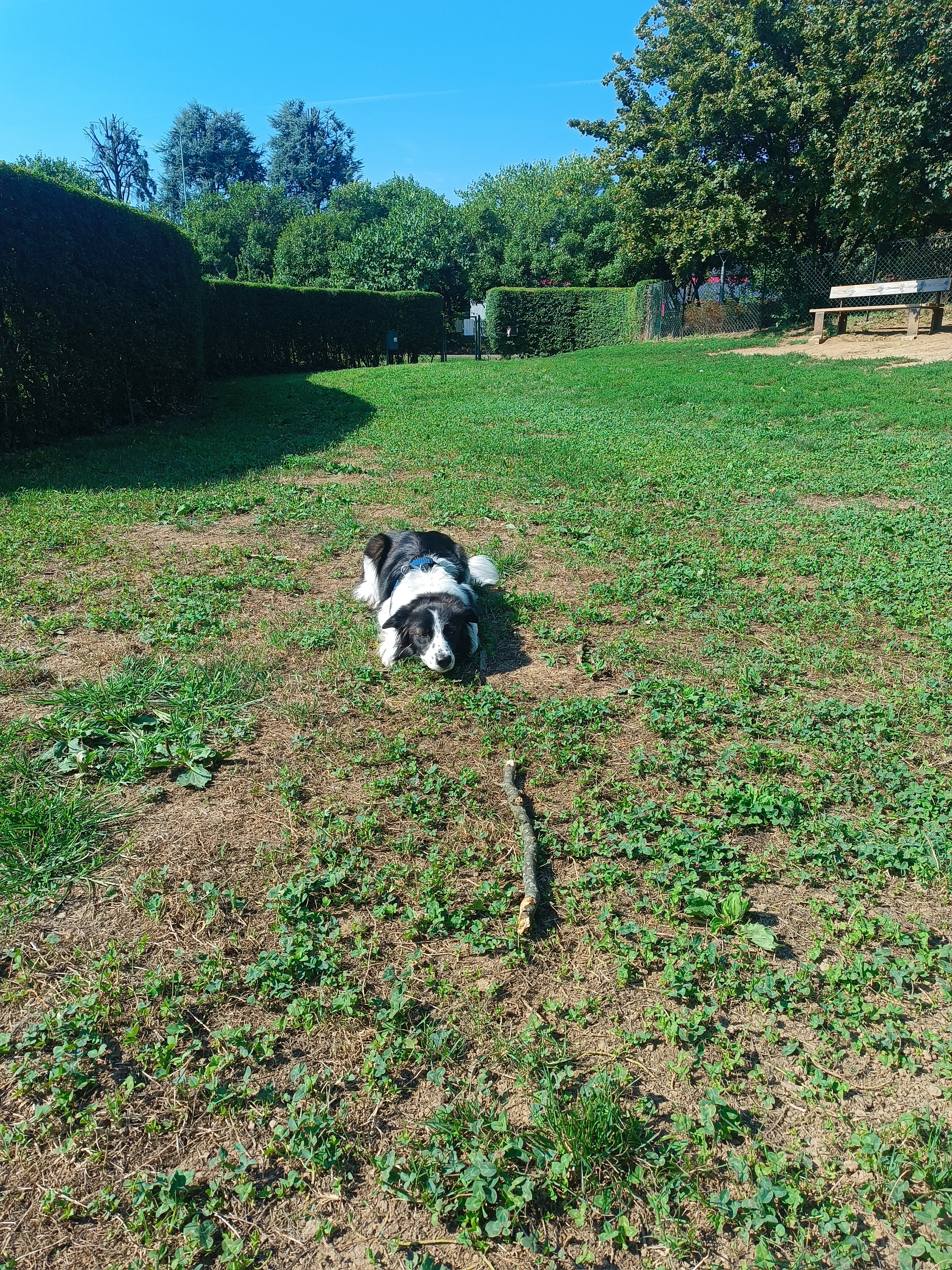 image-9