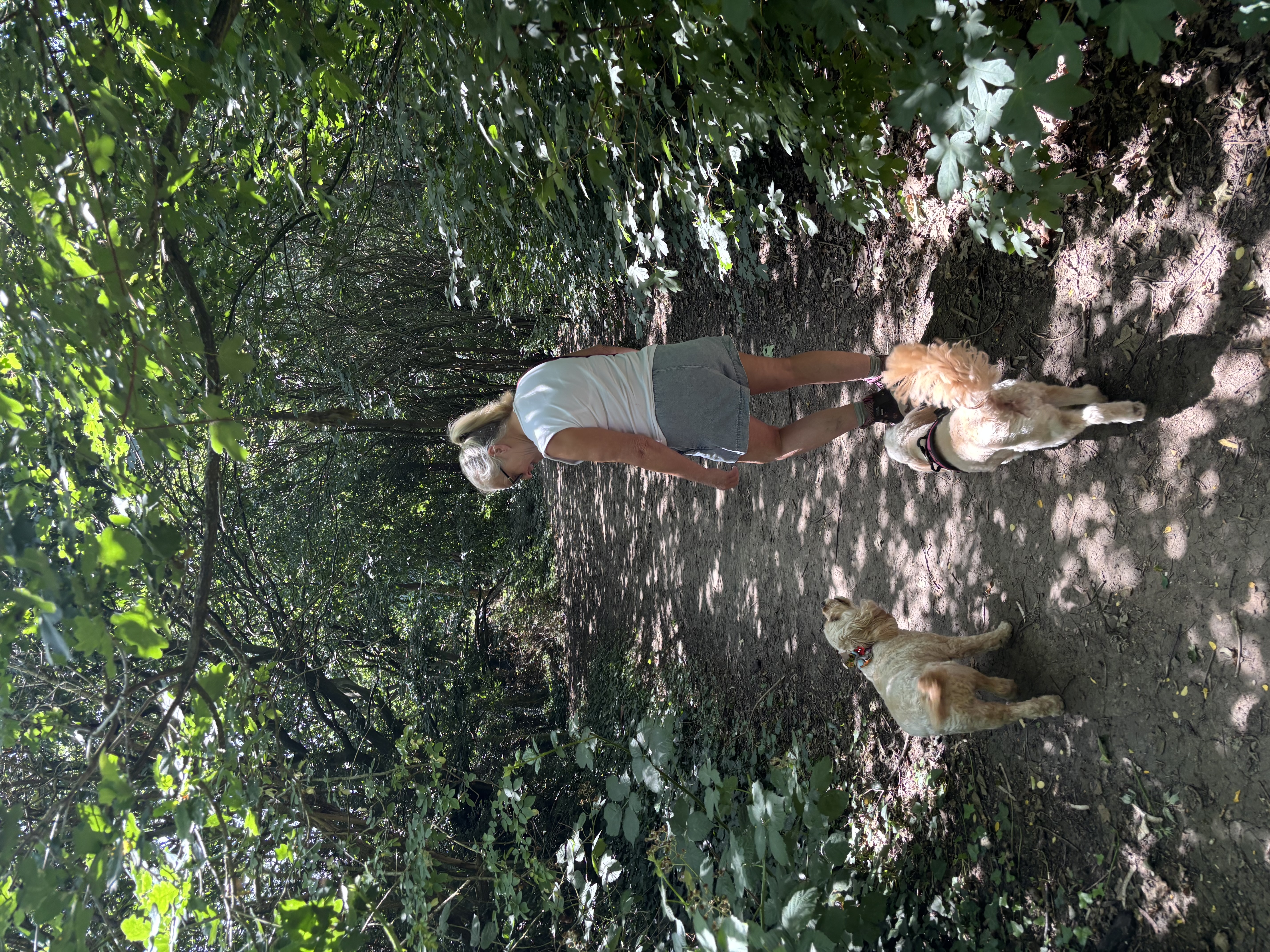 image-0