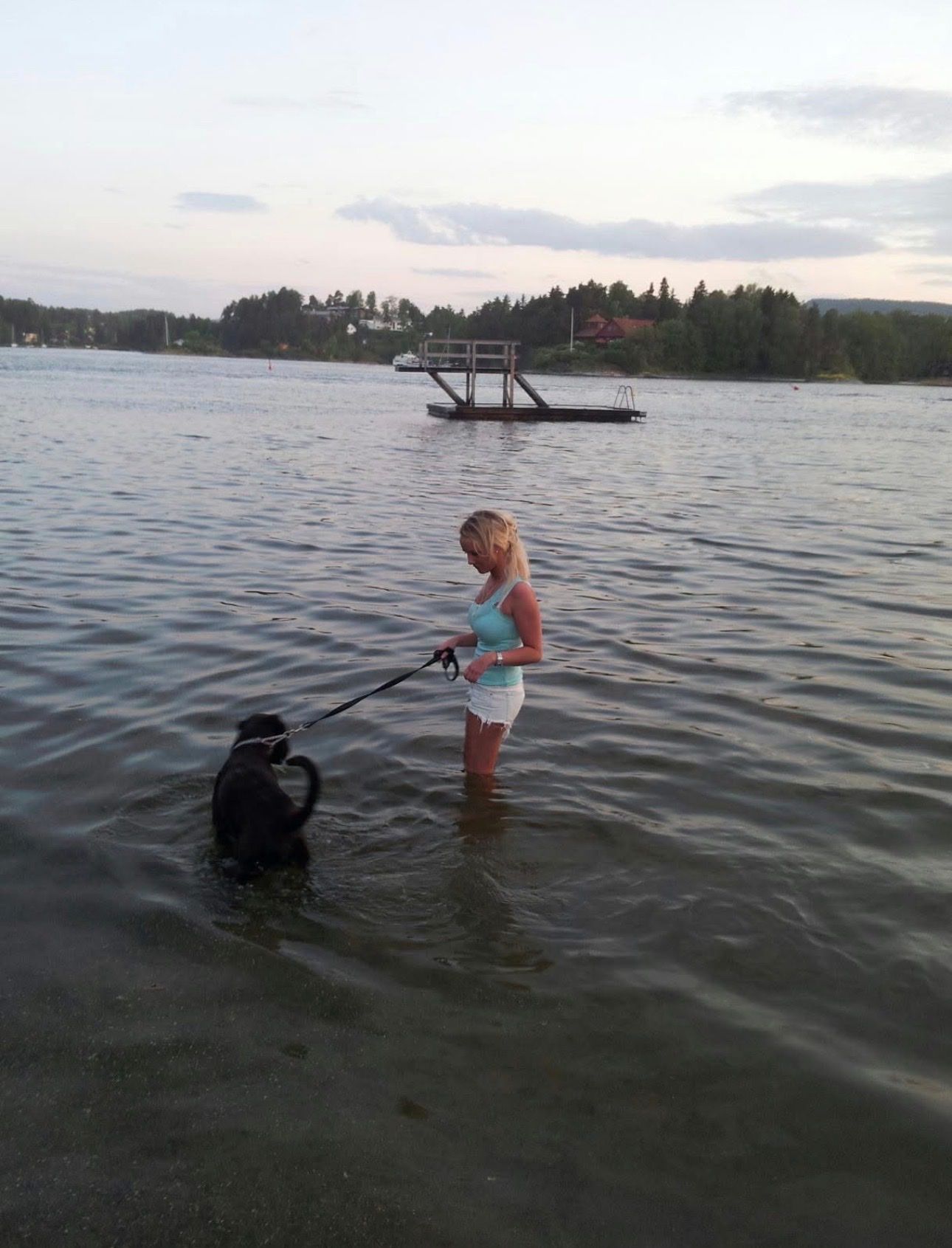 image-10