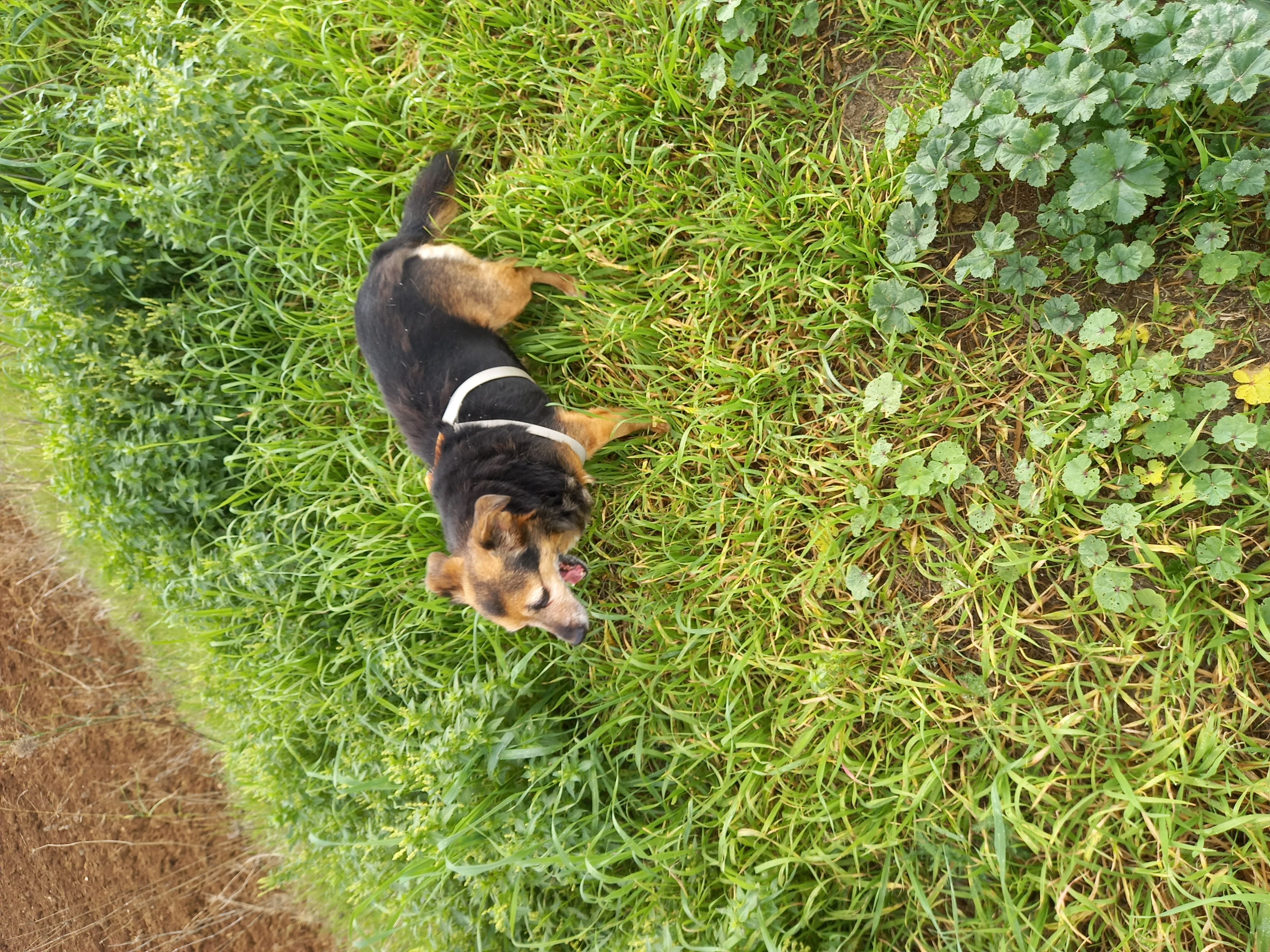 image-7