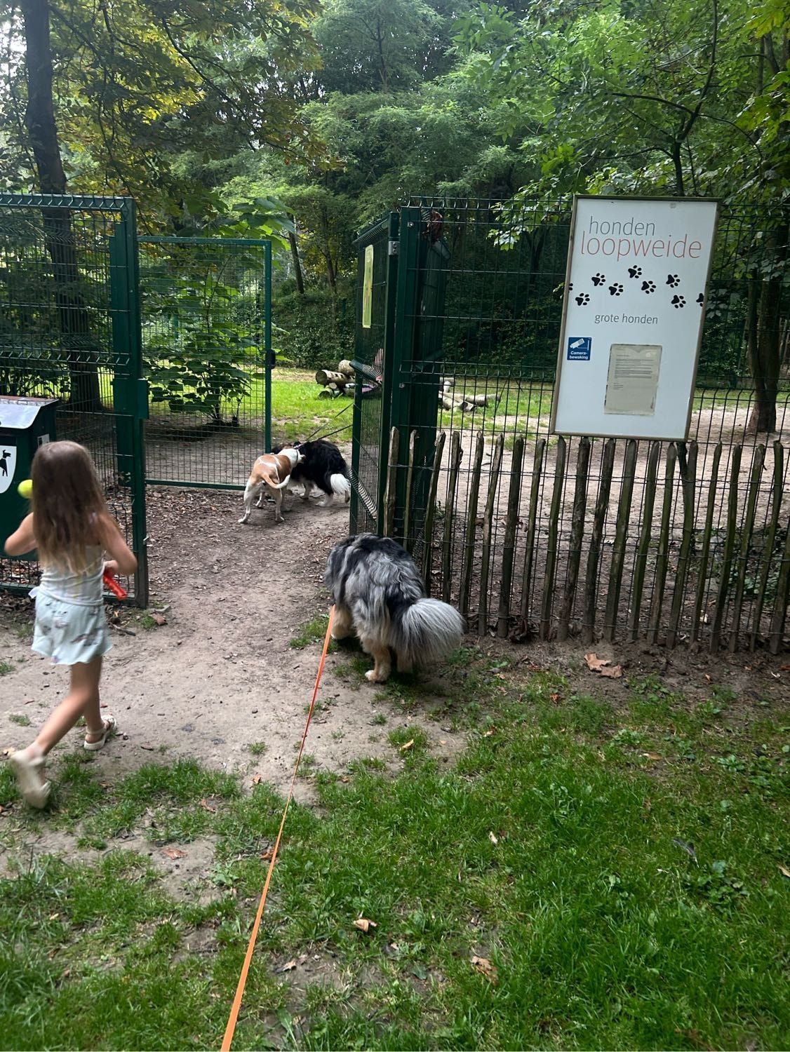 image-38