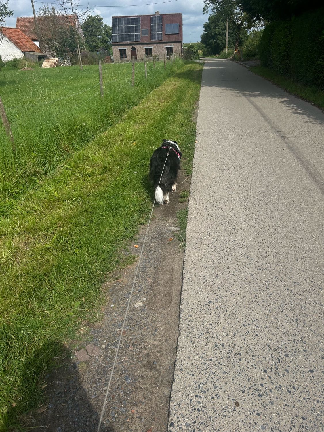image-28