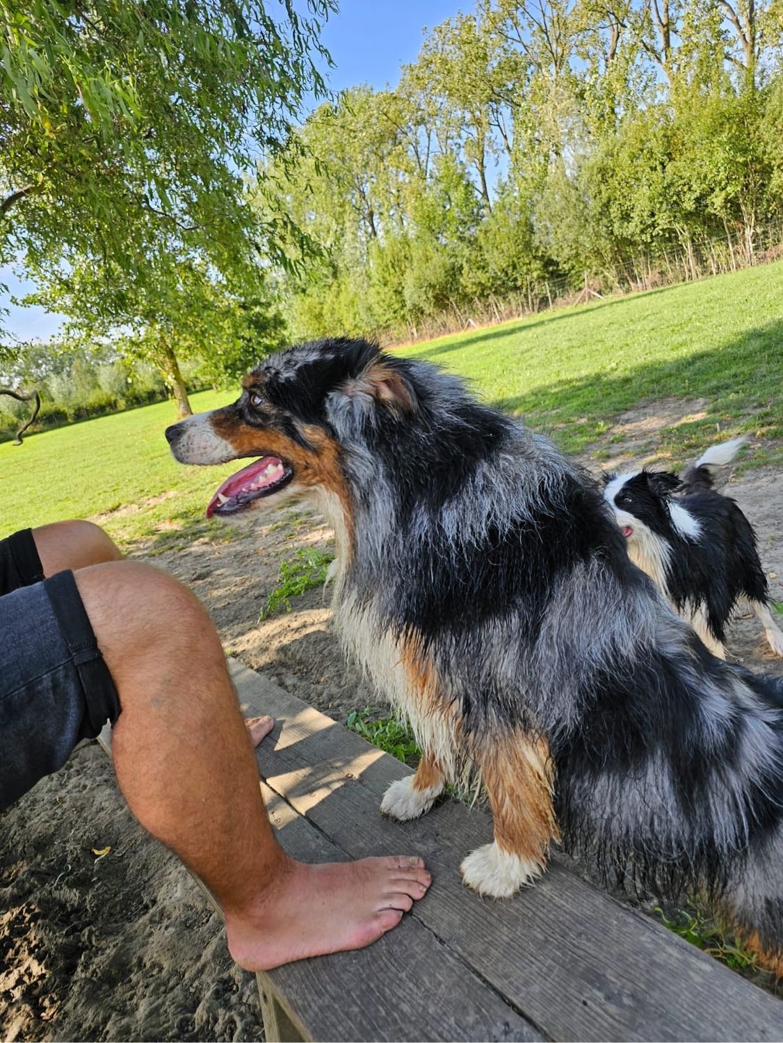 image-37