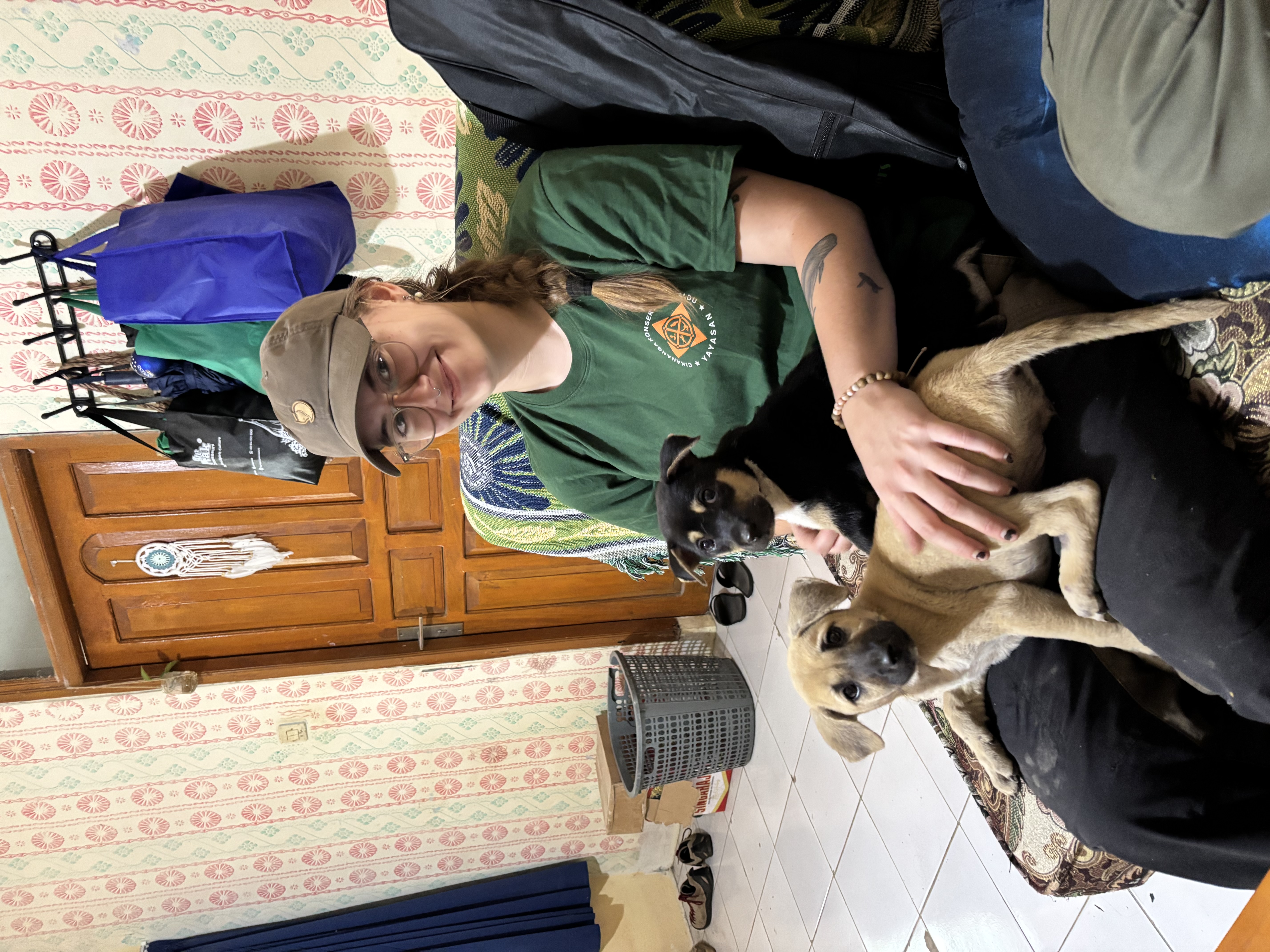 image-7