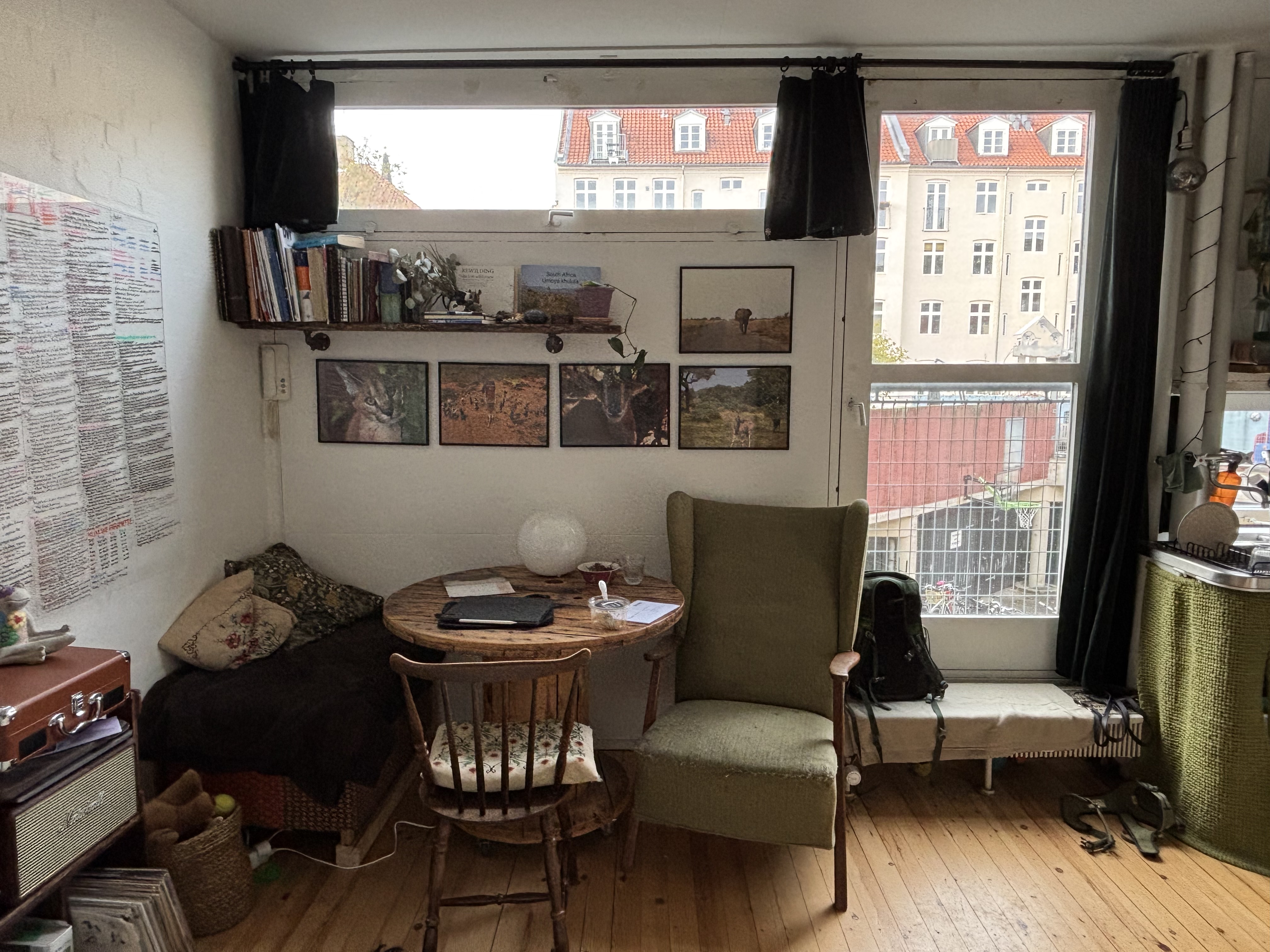 image-12