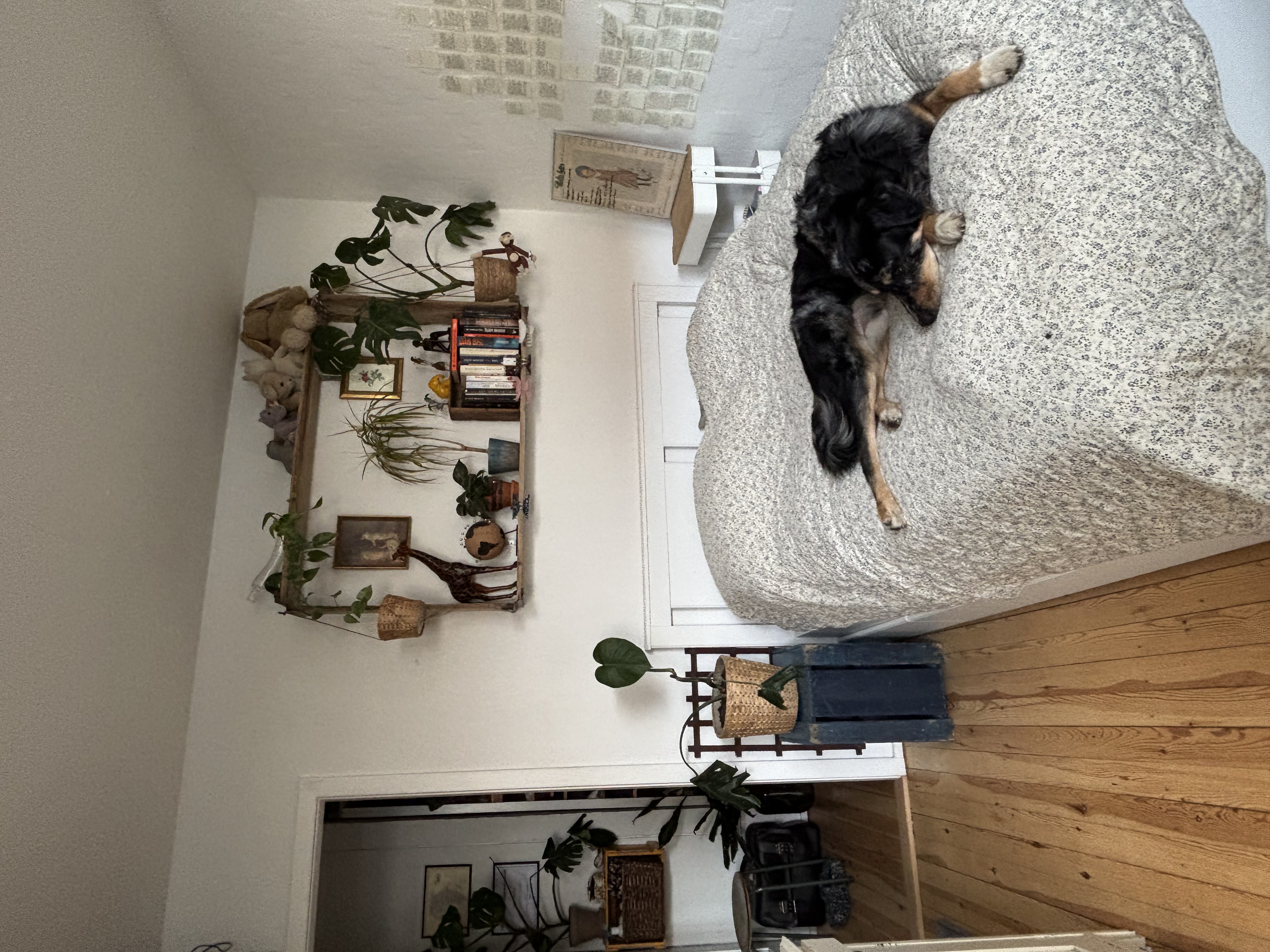 image-13