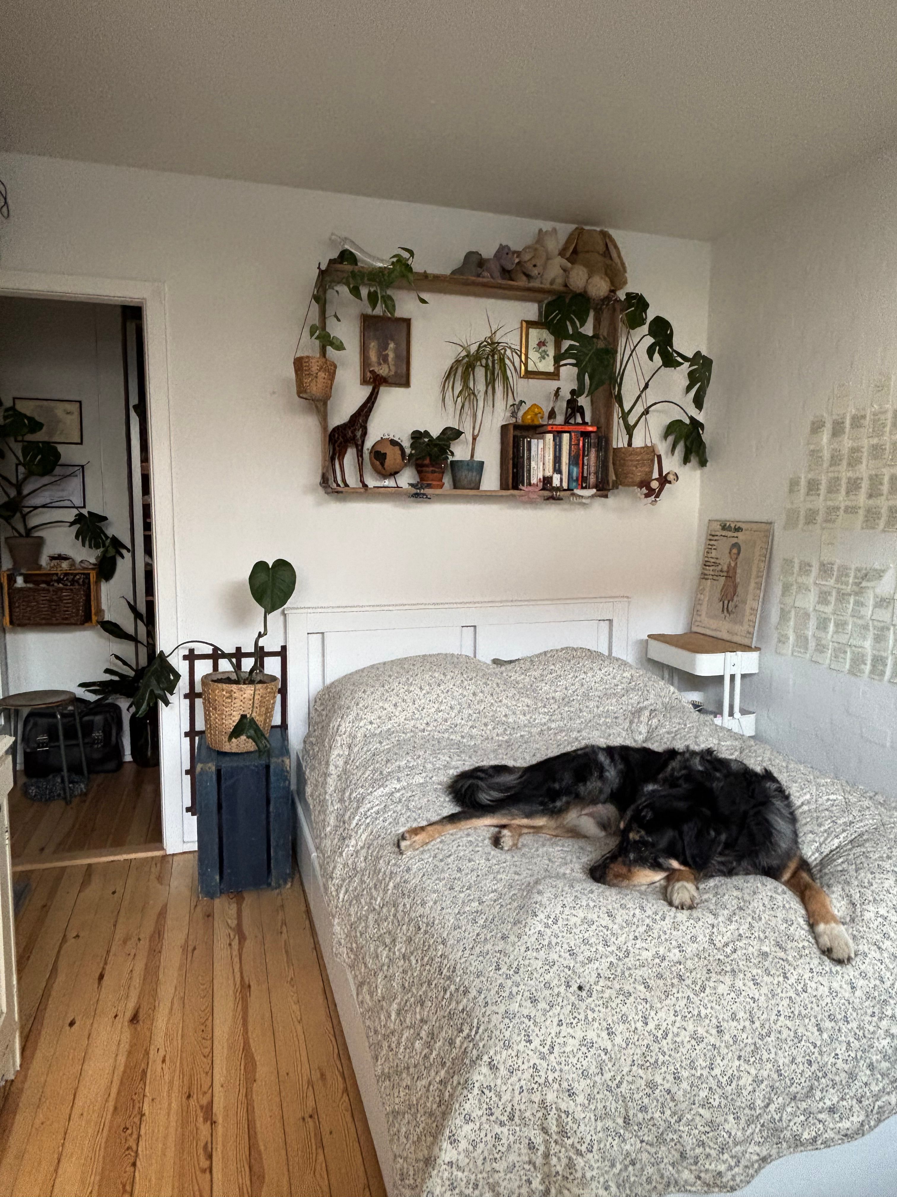 image-13