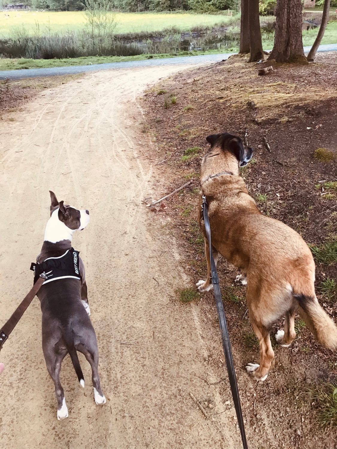 image-0
