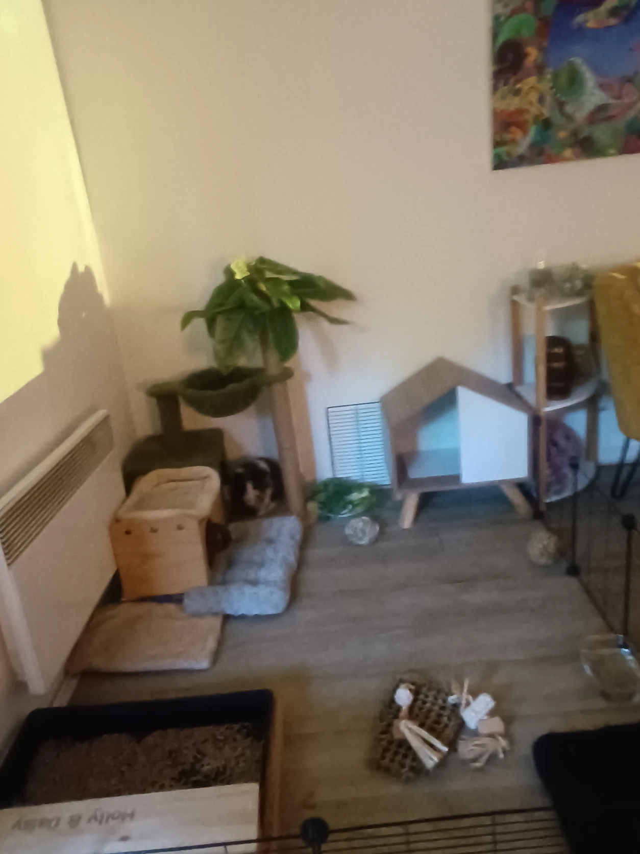 image-14