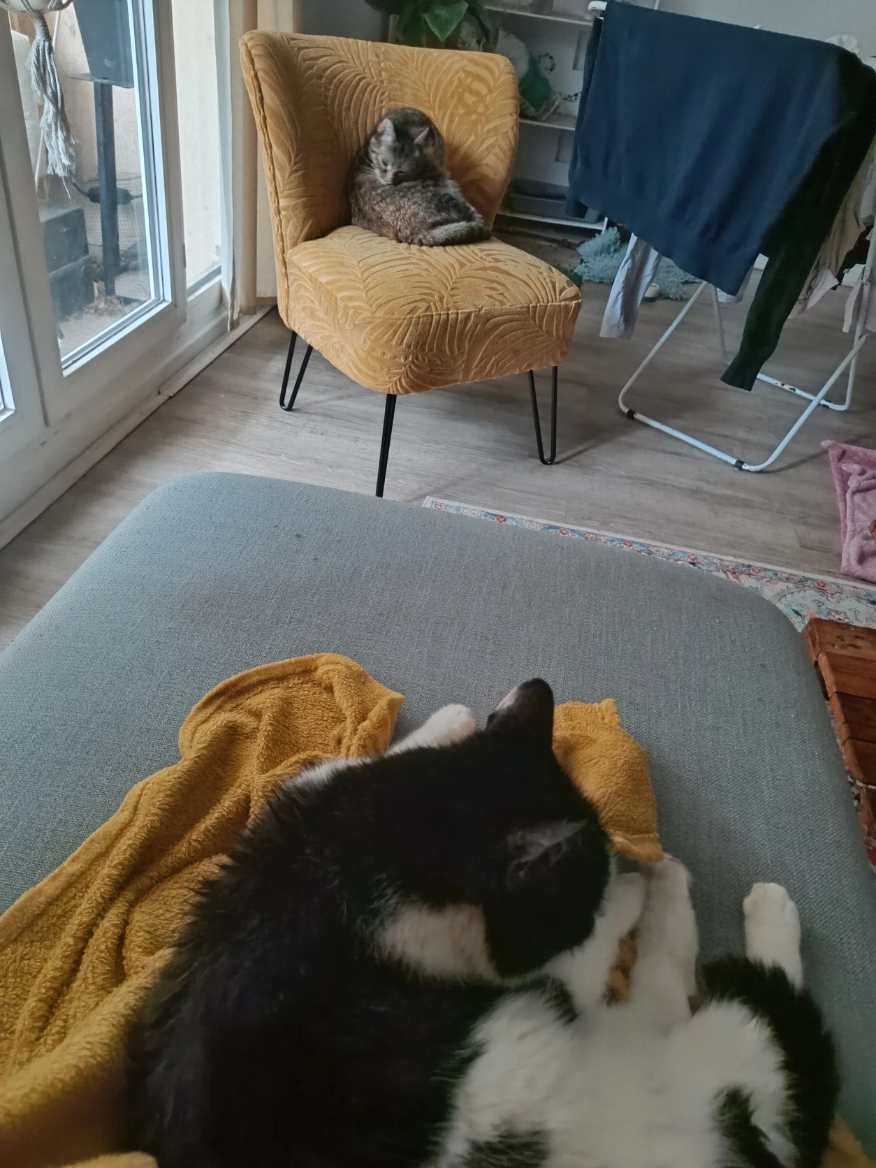 image-15