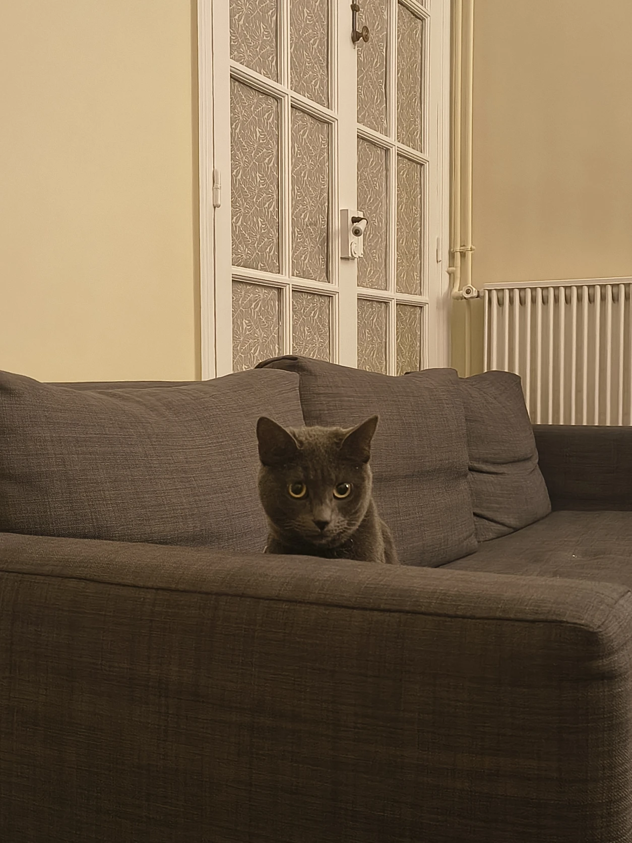 image-16