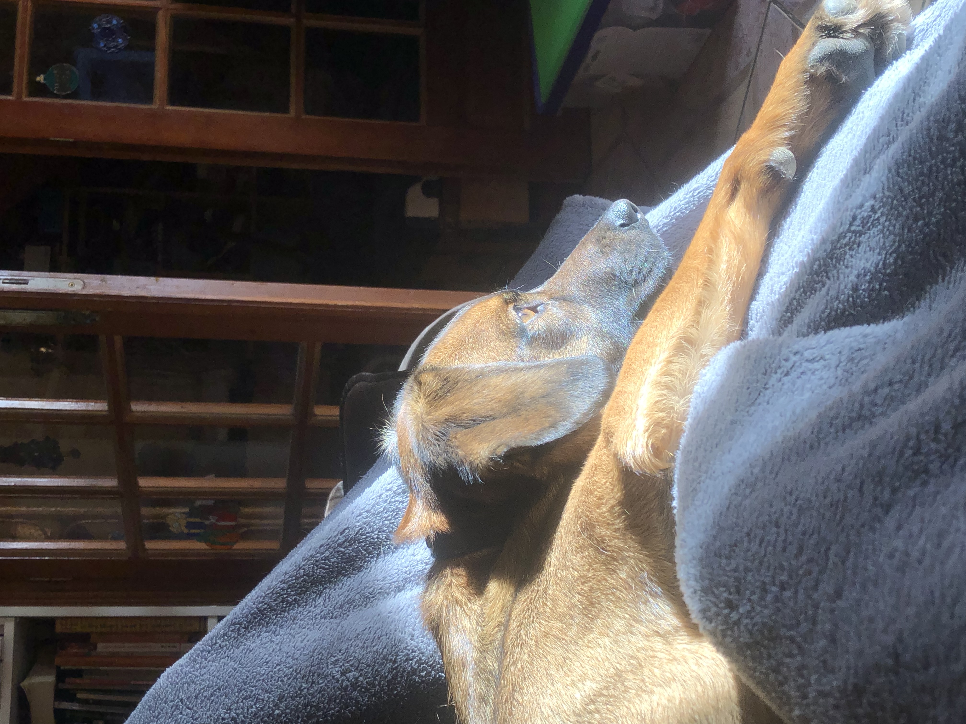 image-5