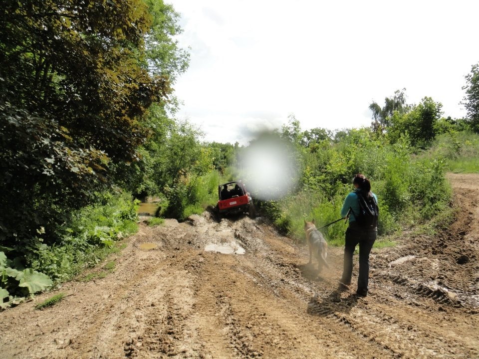 image-4