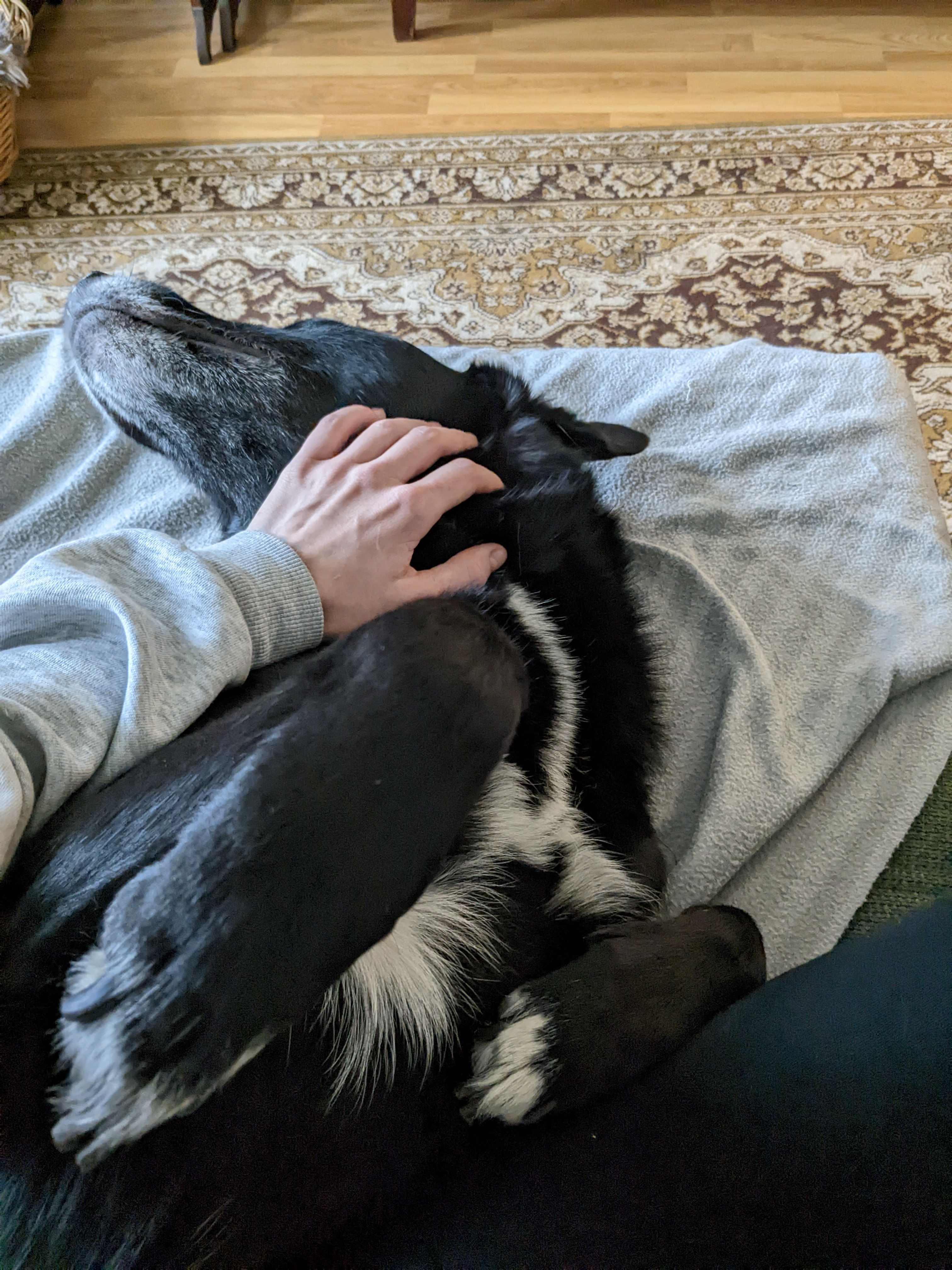 image-11