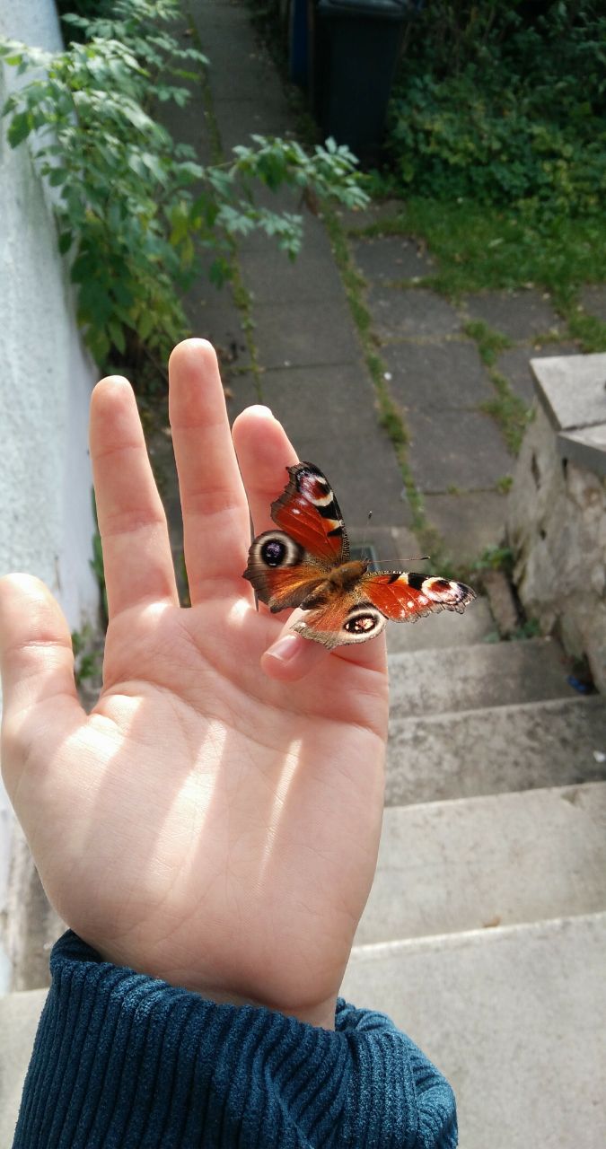 image-5