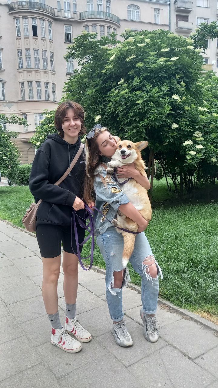 image-5