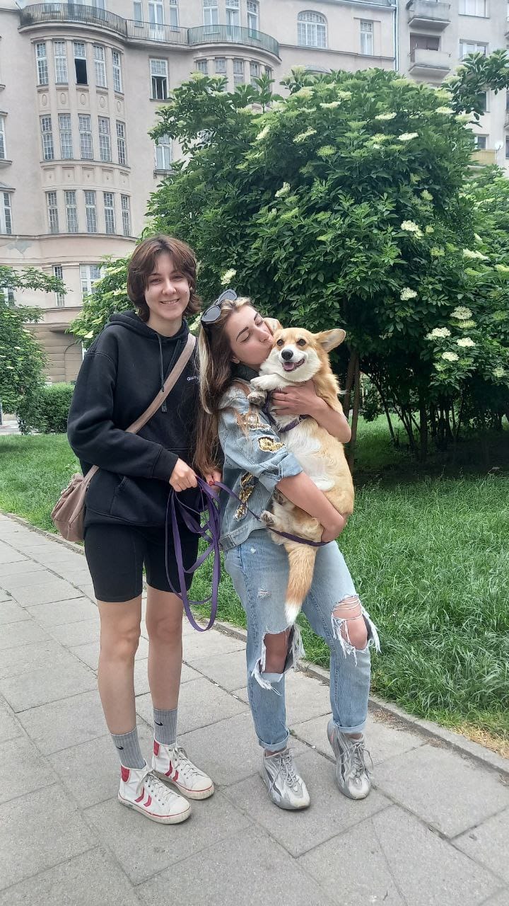 image-5