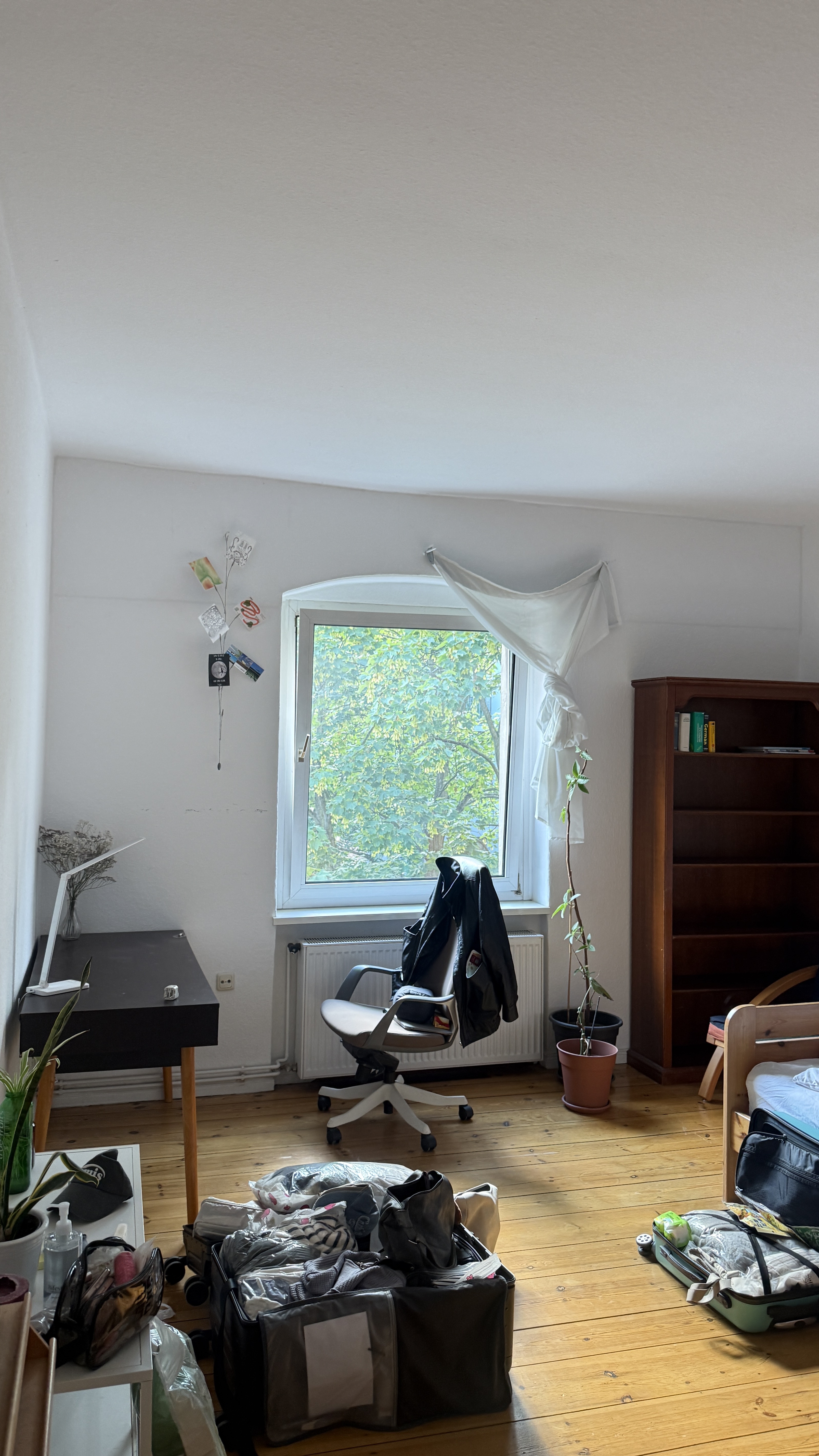 image-8