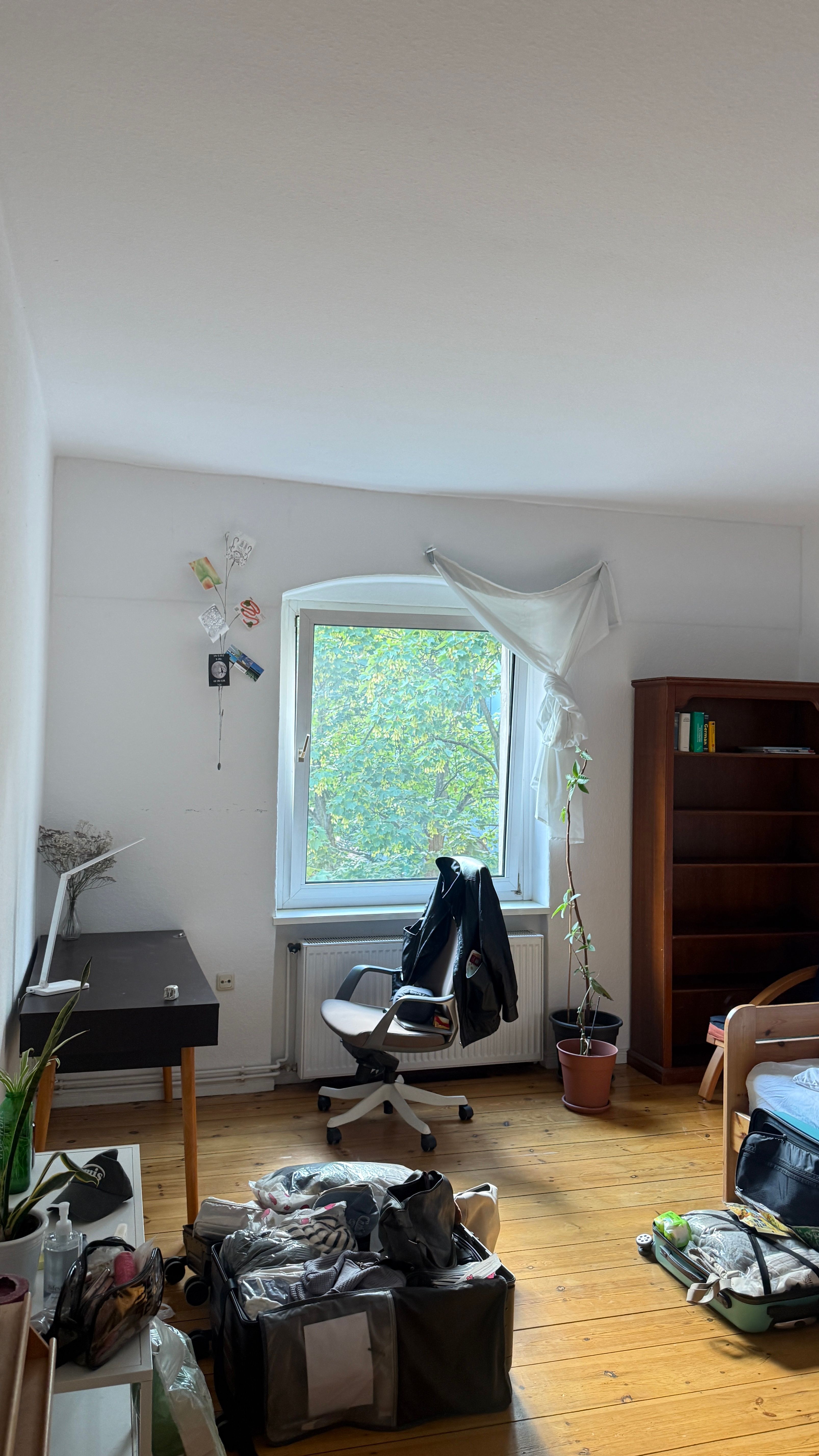image-8