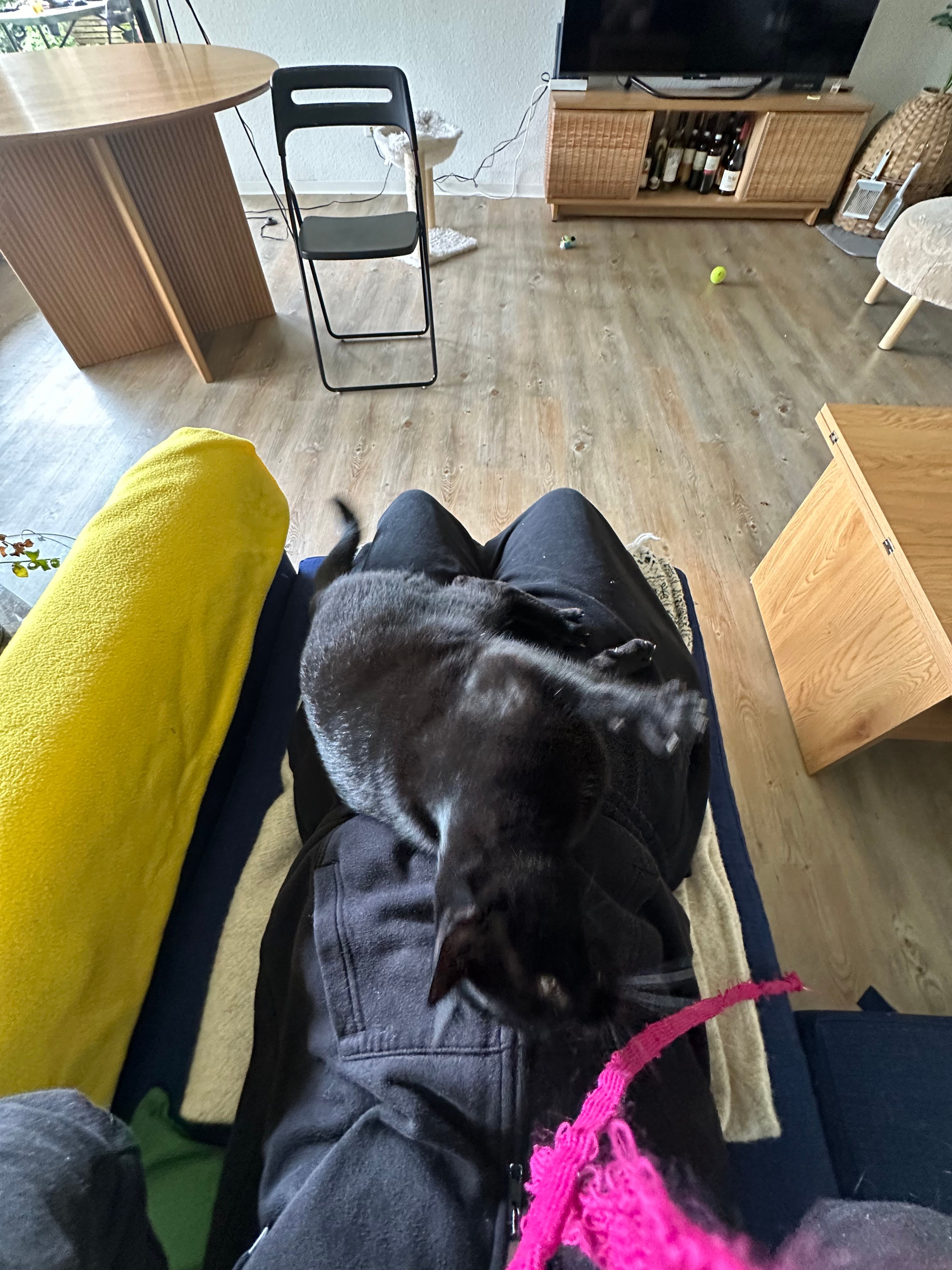 image-13