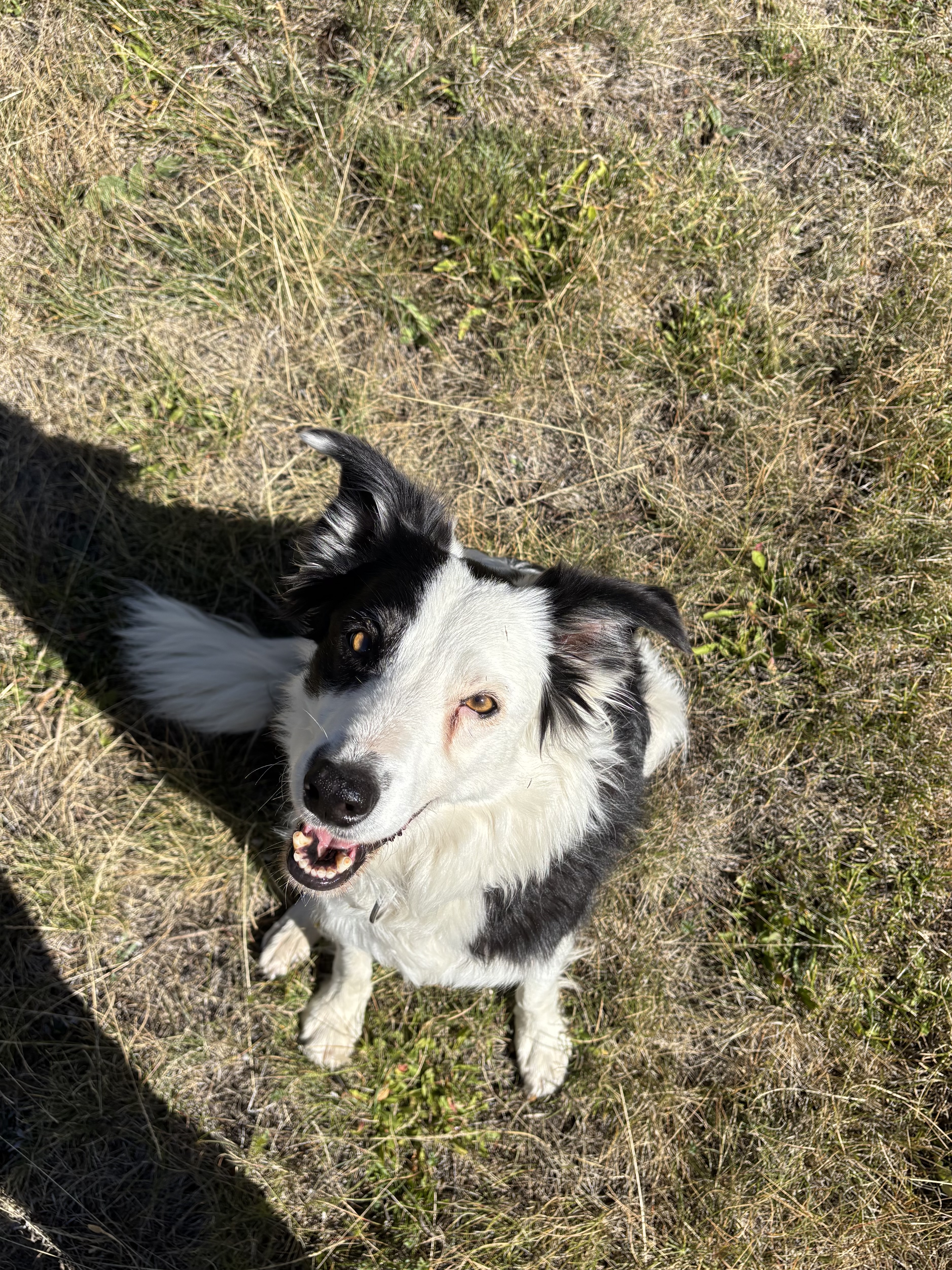 image-7