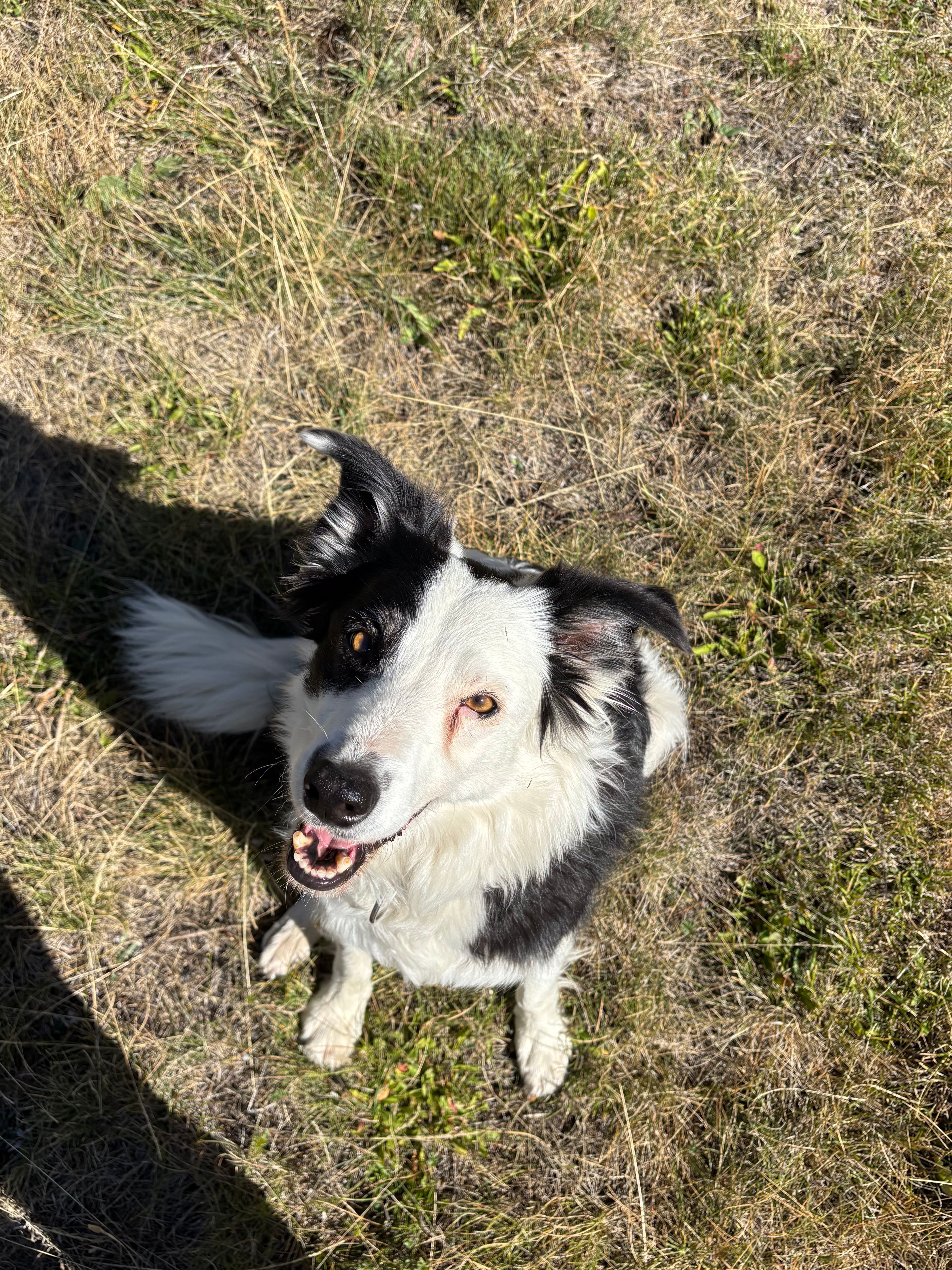 image-7