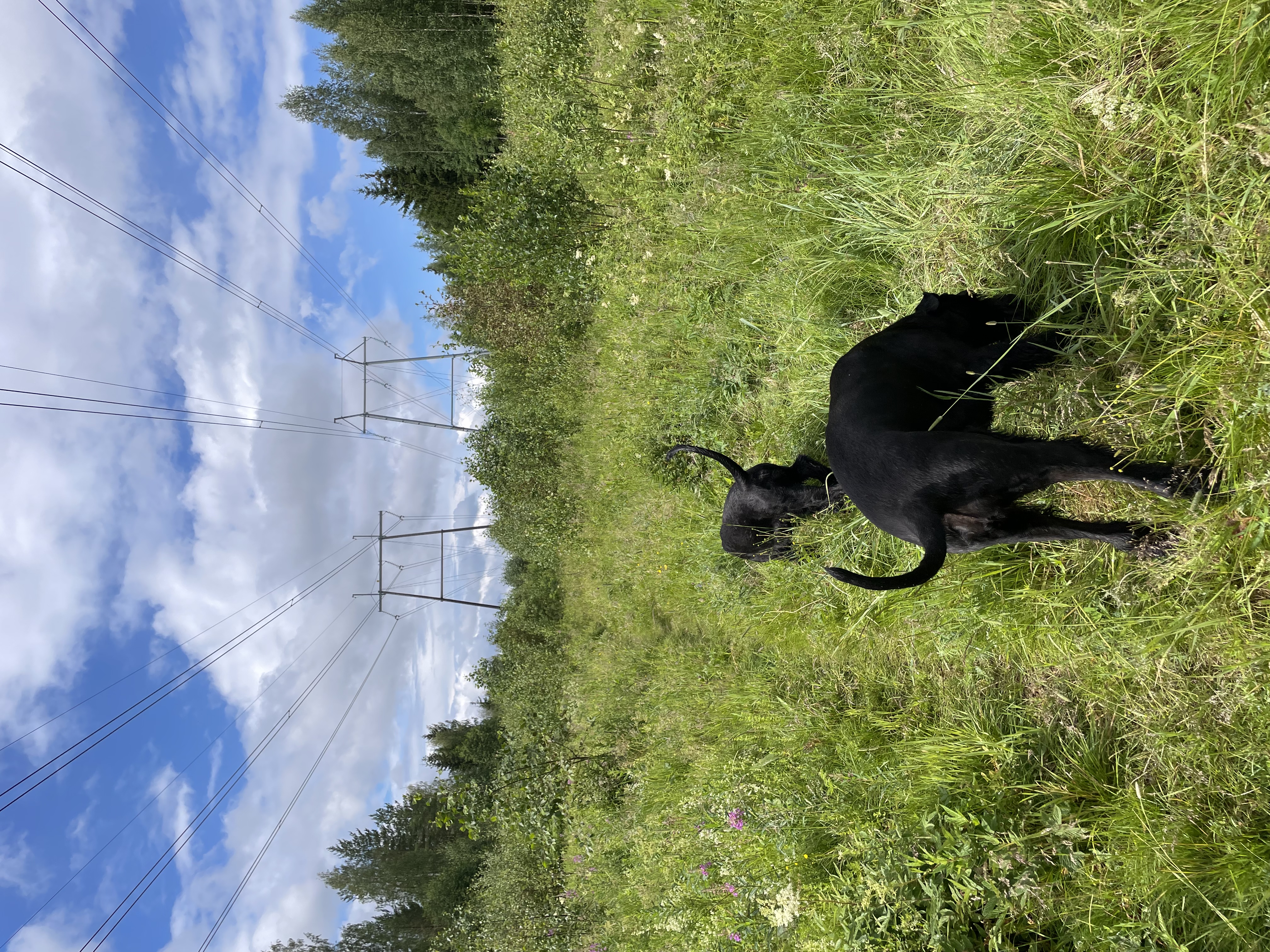 image-3