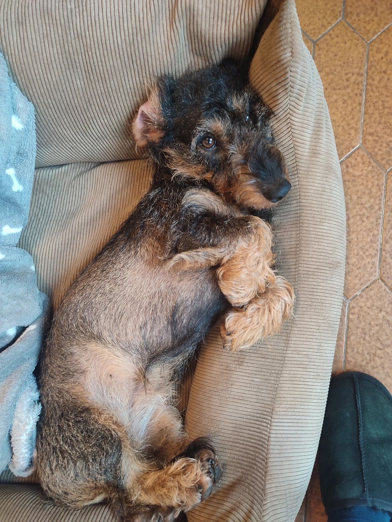 image-4
