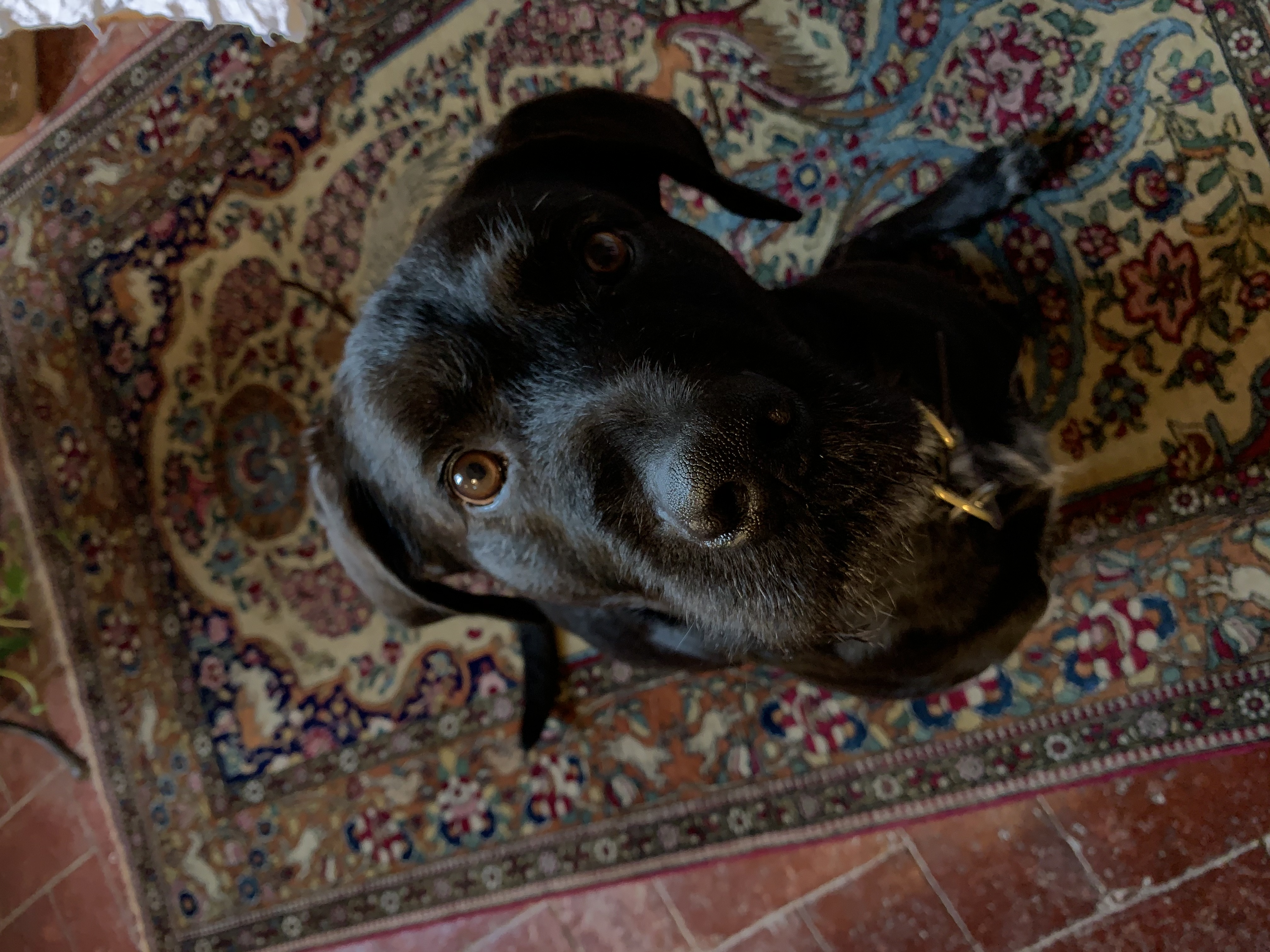 image-8